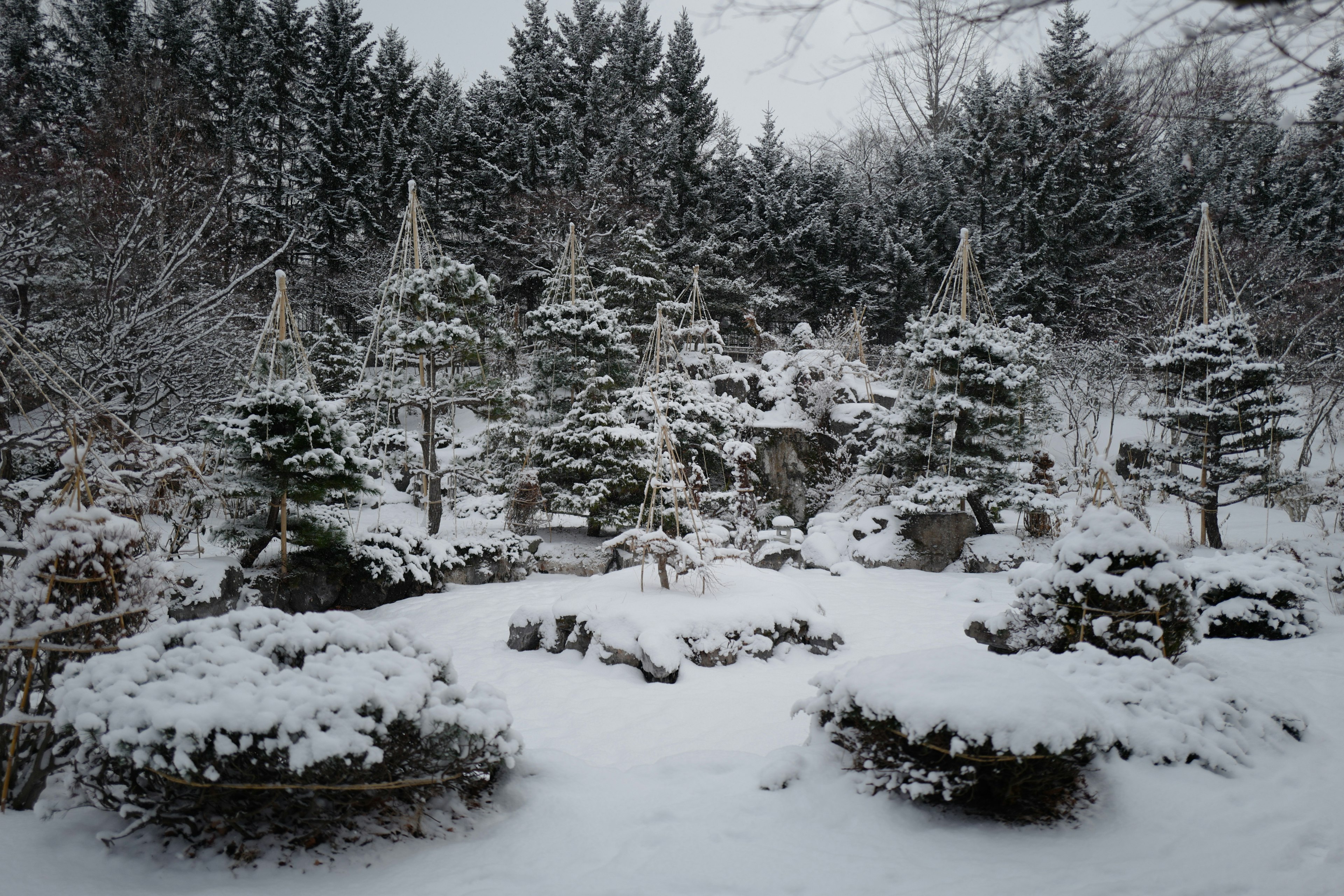 雪に覆われた盆栽の庭園の風景