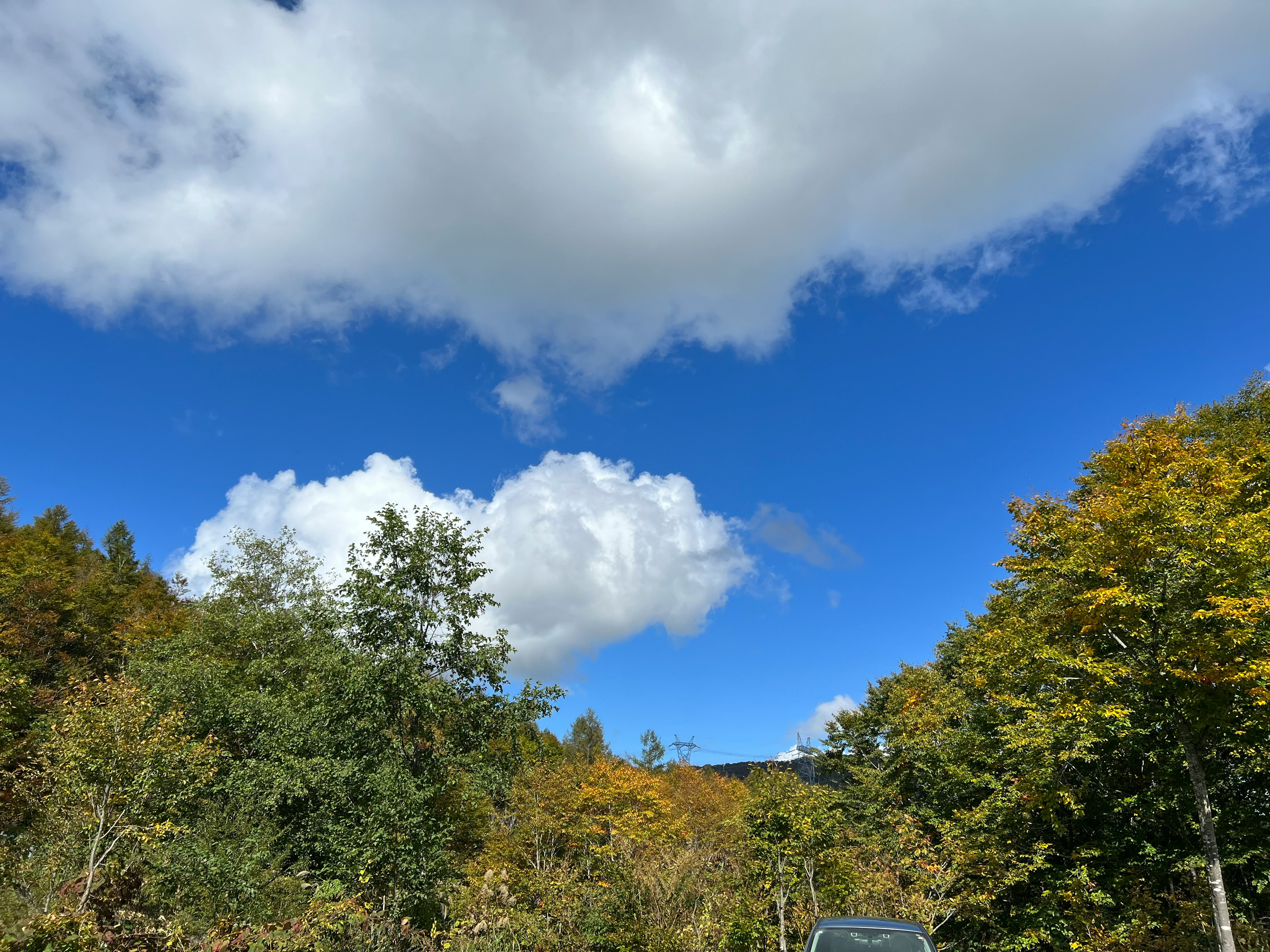 Ciel bleu clair avec des nuages blancs duveteux paysage d'automne avec des arbres verts et jaunes