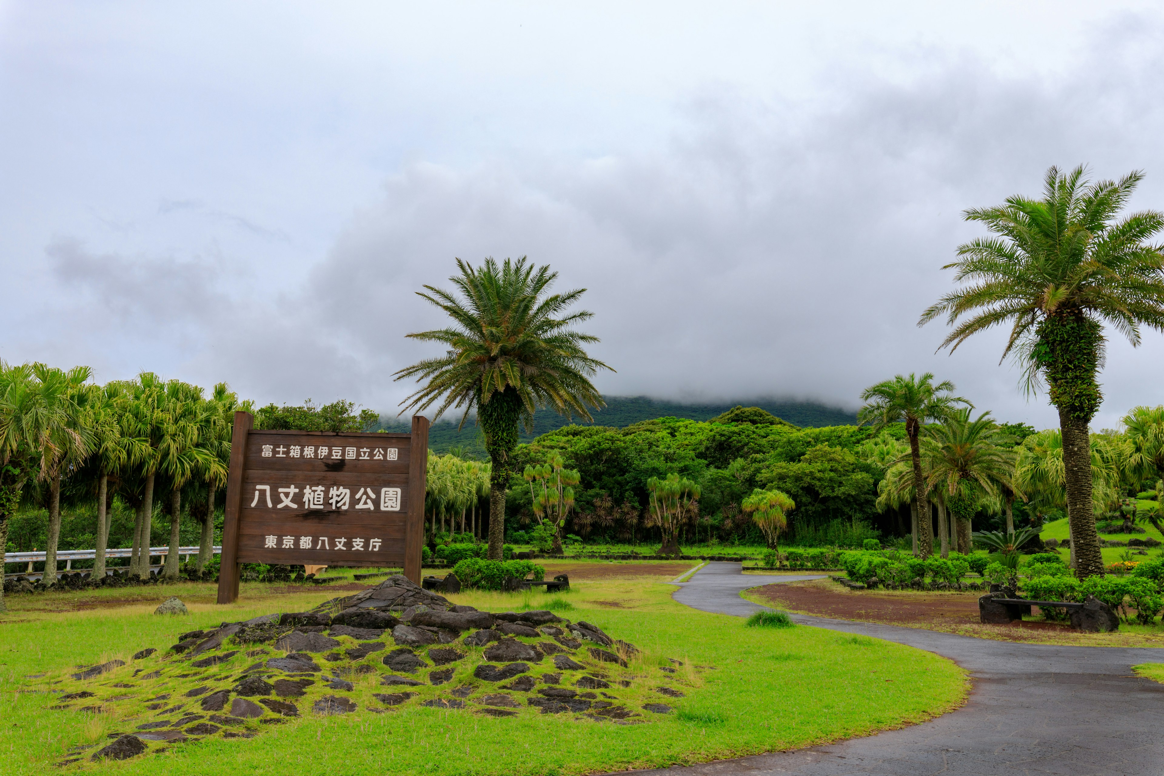 八丈岛植物园的入口，特色是郁郁葱葱的绿色和棕榈树