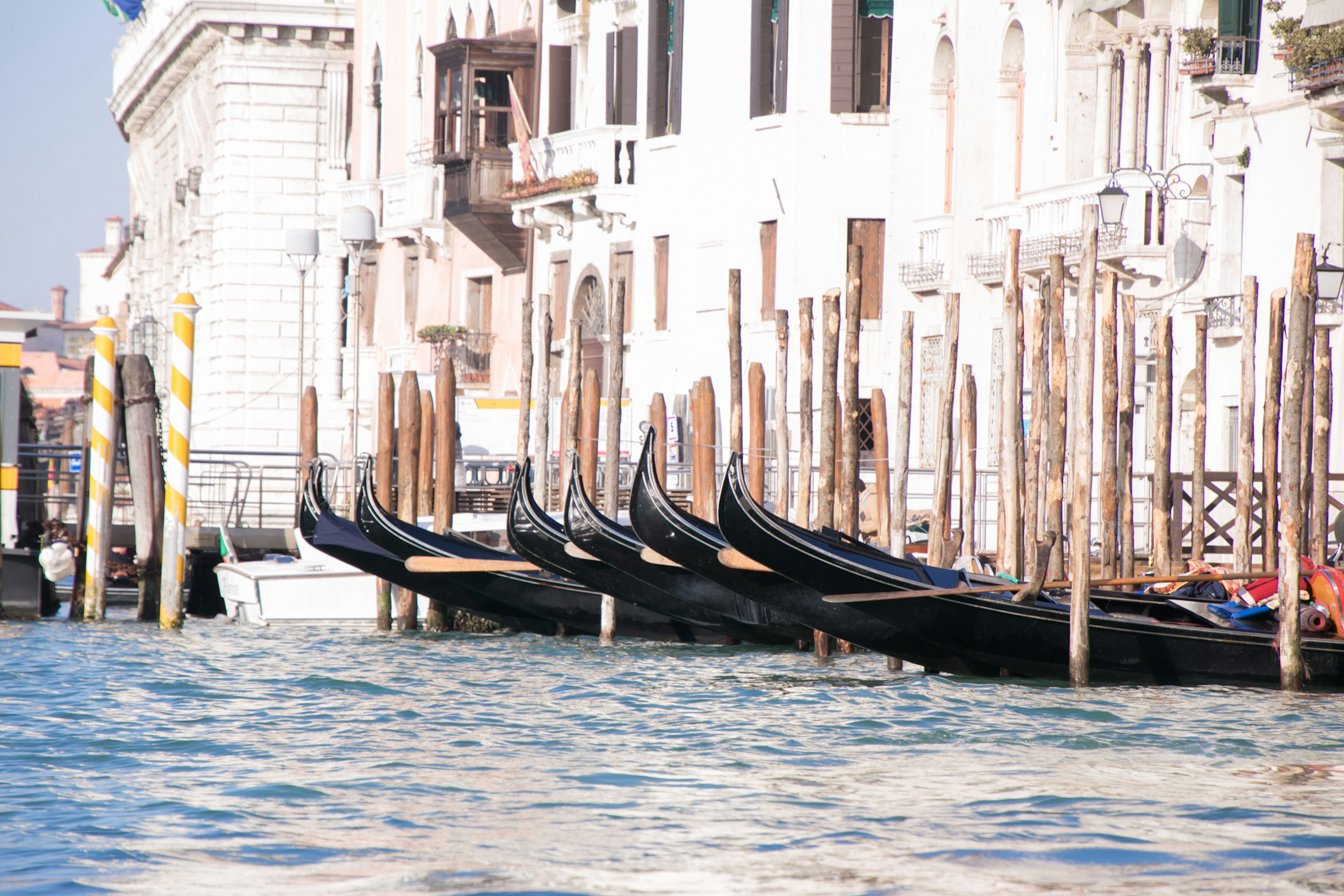 Gondolas lined up along a canal in Venice with white buildings