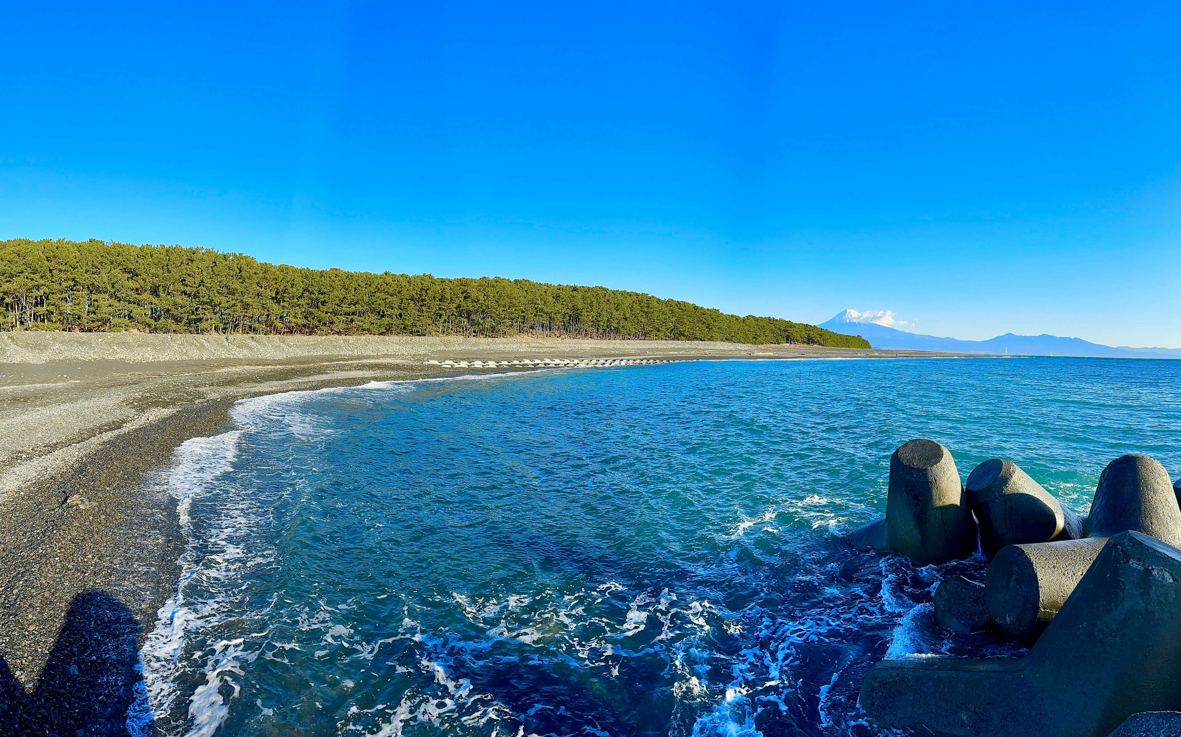 Scenic view of blue ocean and sandy beach with green trees in the background