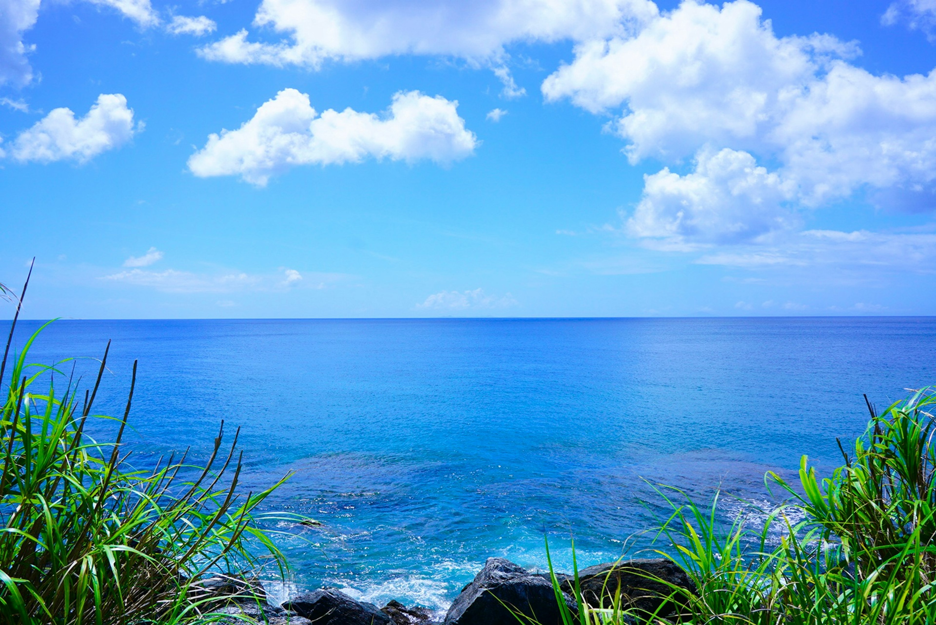 Wunderschöne Landschaft mit einem weiten blauen Meer und Himmel üppiges grünes Gras am Ufer