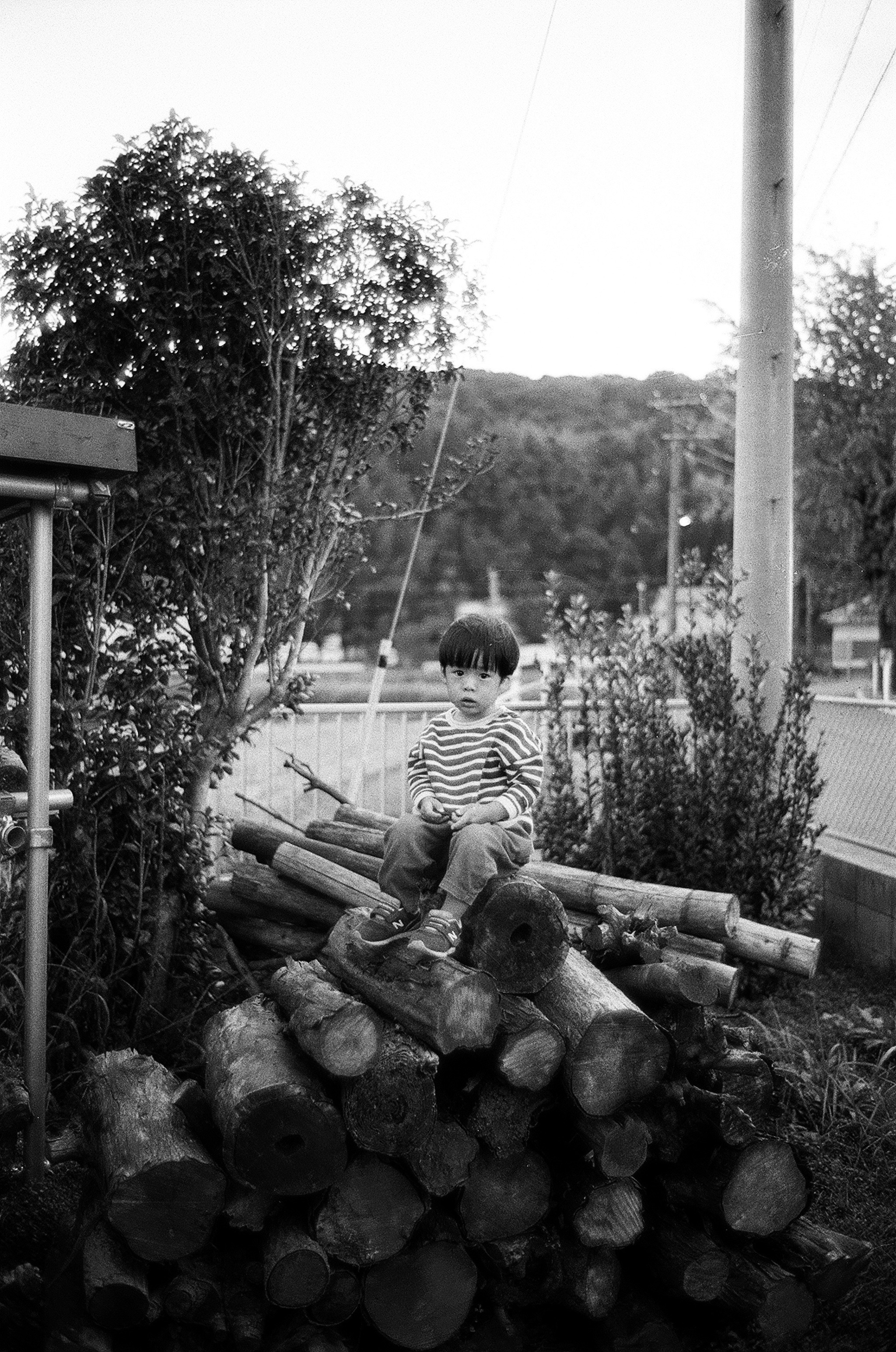 Foto en blanco y negro de un niño sentado sobre troncos