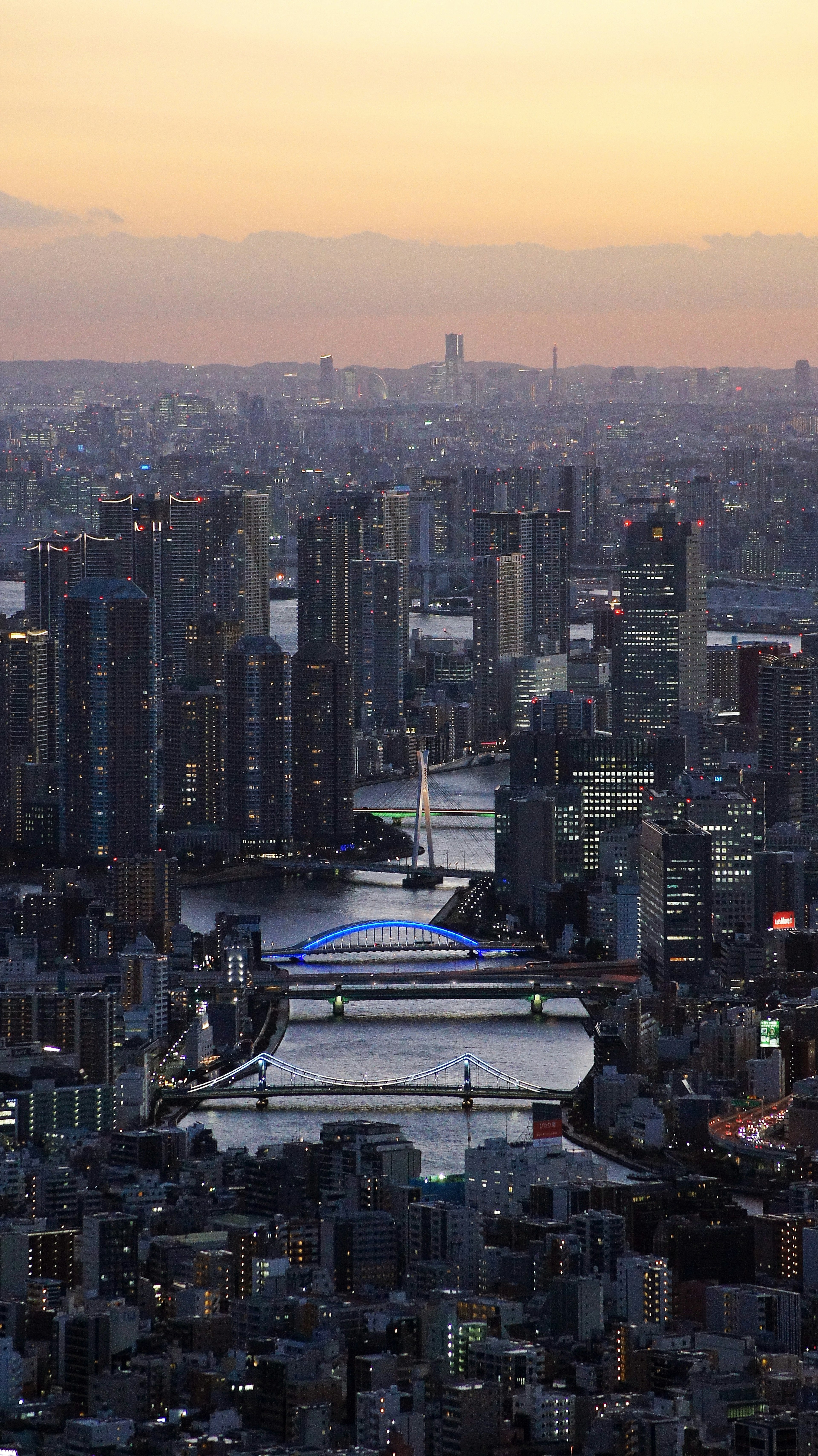 Vista panoramica di una città al crepuscolo con grattacieli e un fiume