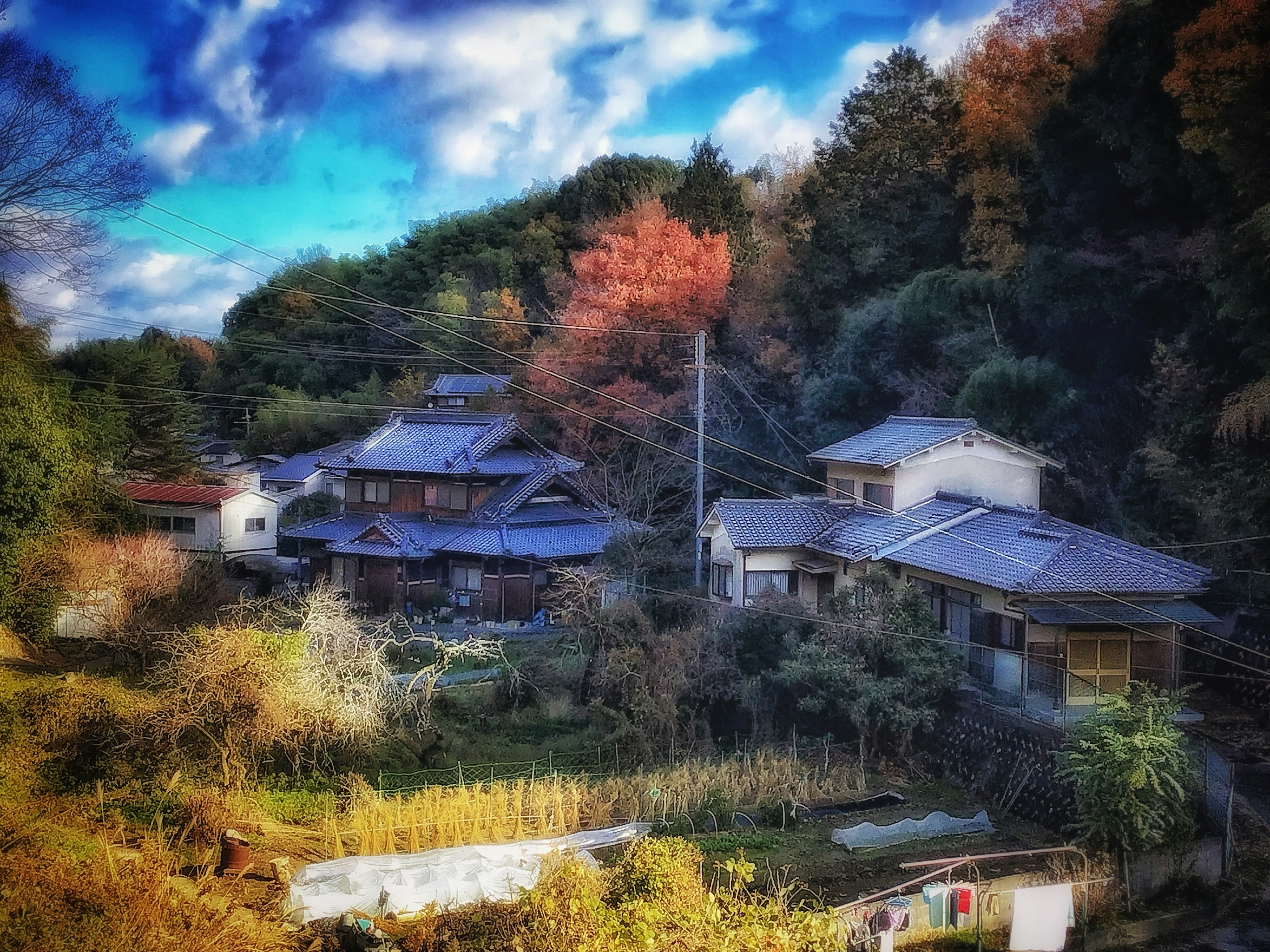 被秋天的树叶环绕的宁静村庄的风景