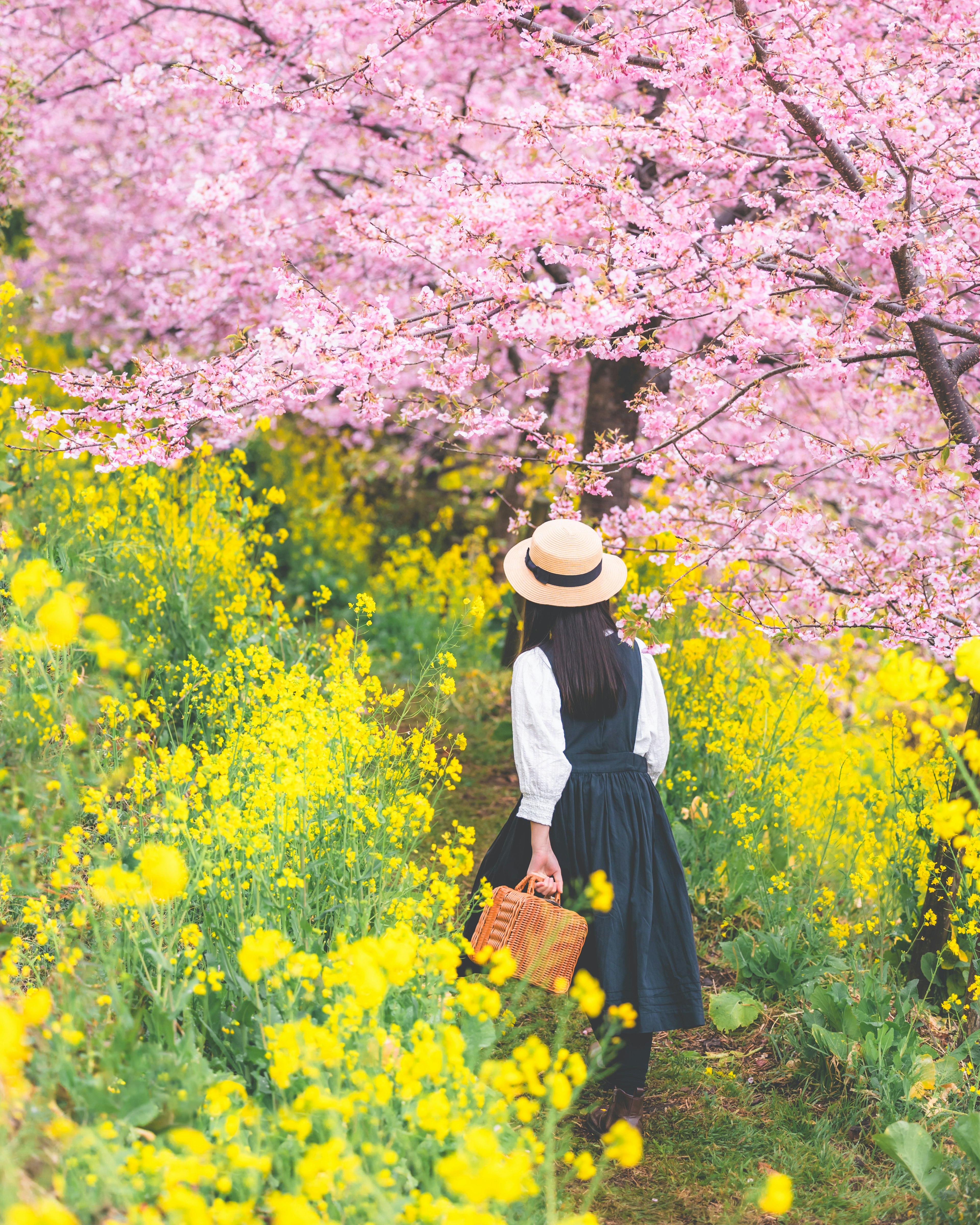 桜の木の下で黄色い花に囲まれた女性の後ろ姿