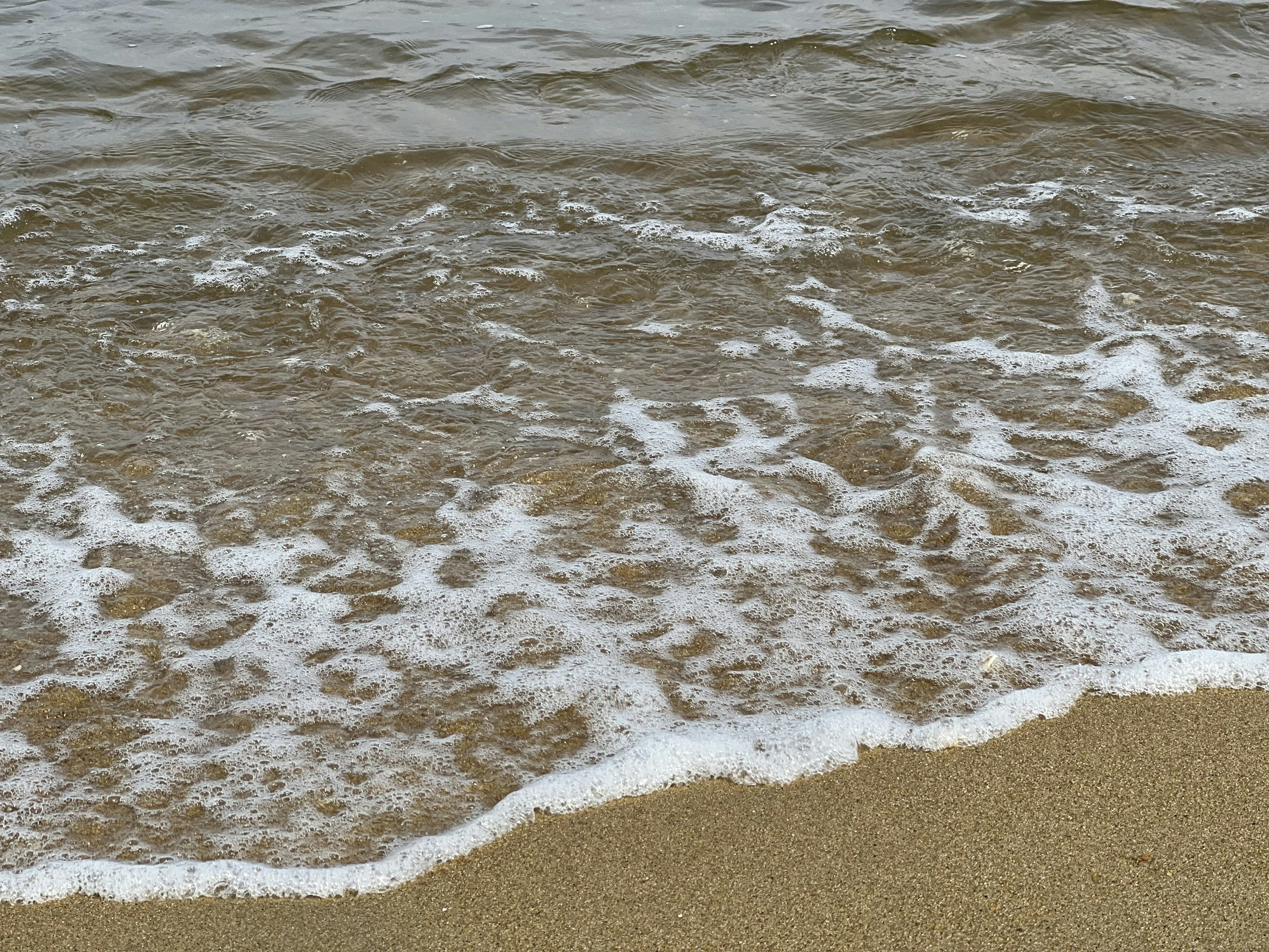 Foto pantai berpasir dengan ombak lembut dan busa putih