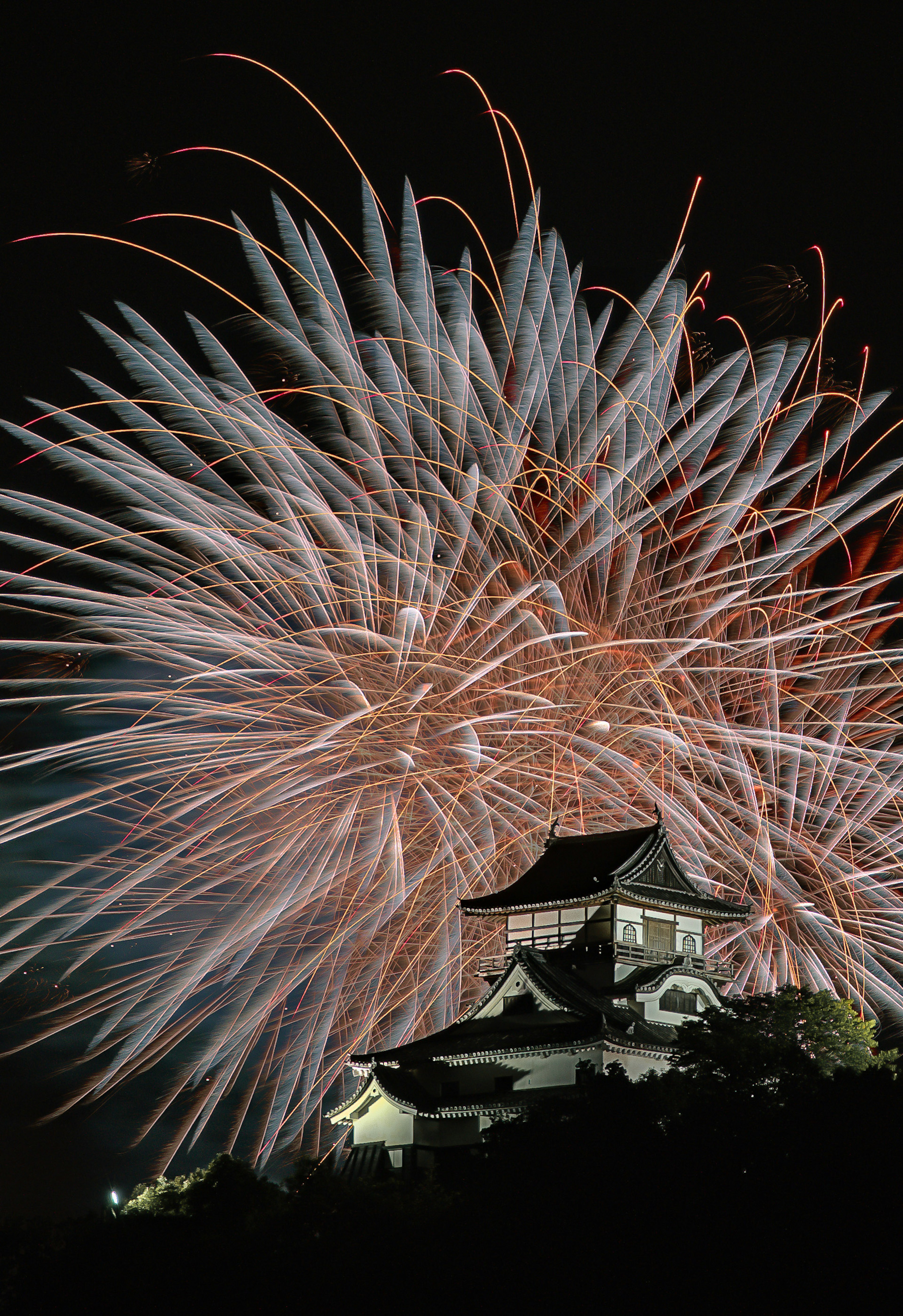 Des feux d'artifice éclatant dans le ciel nocturne au-dessus d'un château créant un spectacle lumineux époustouflant