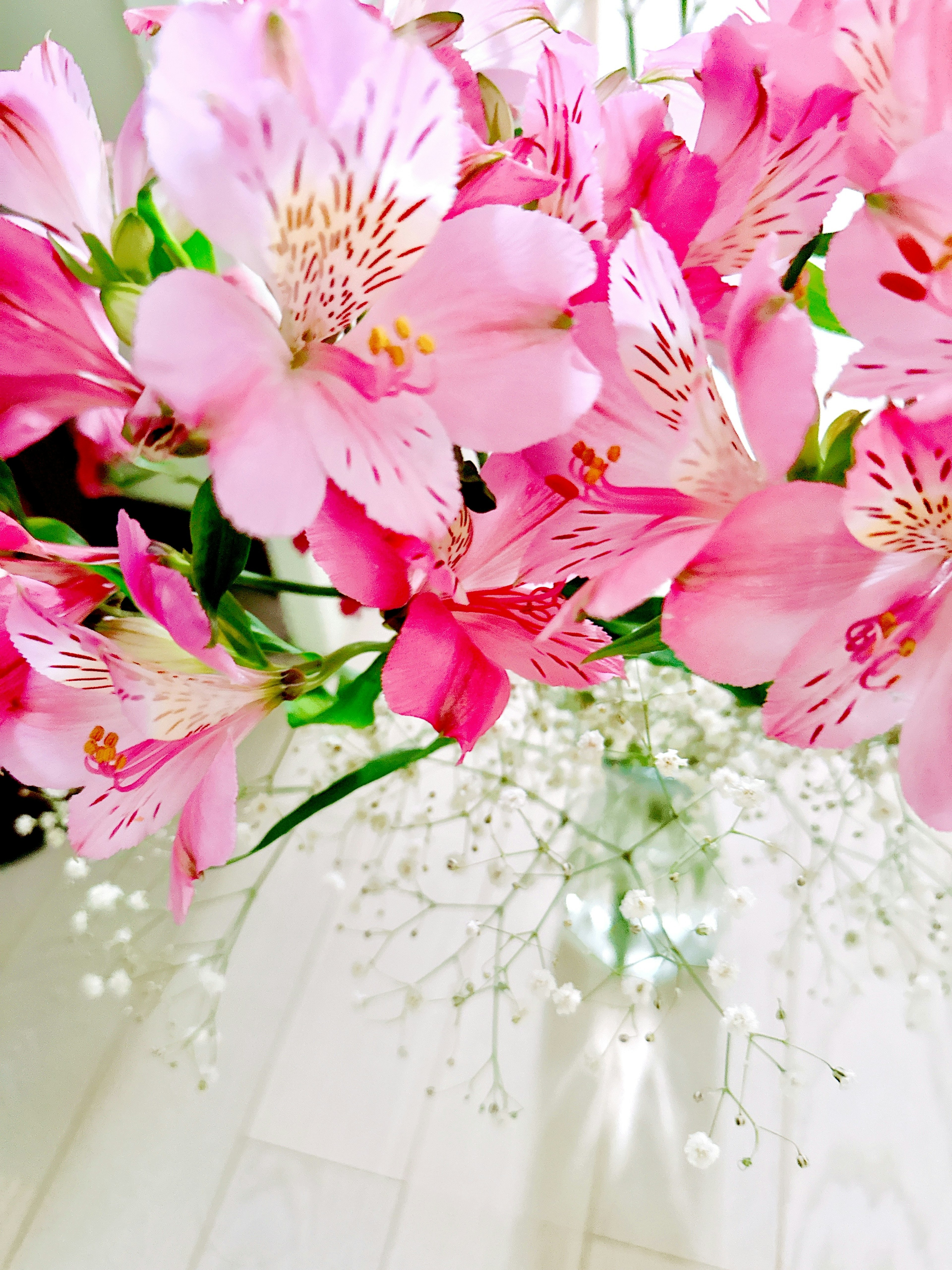 Bouquet of pink Alstroemeria flowers with baby’s breath