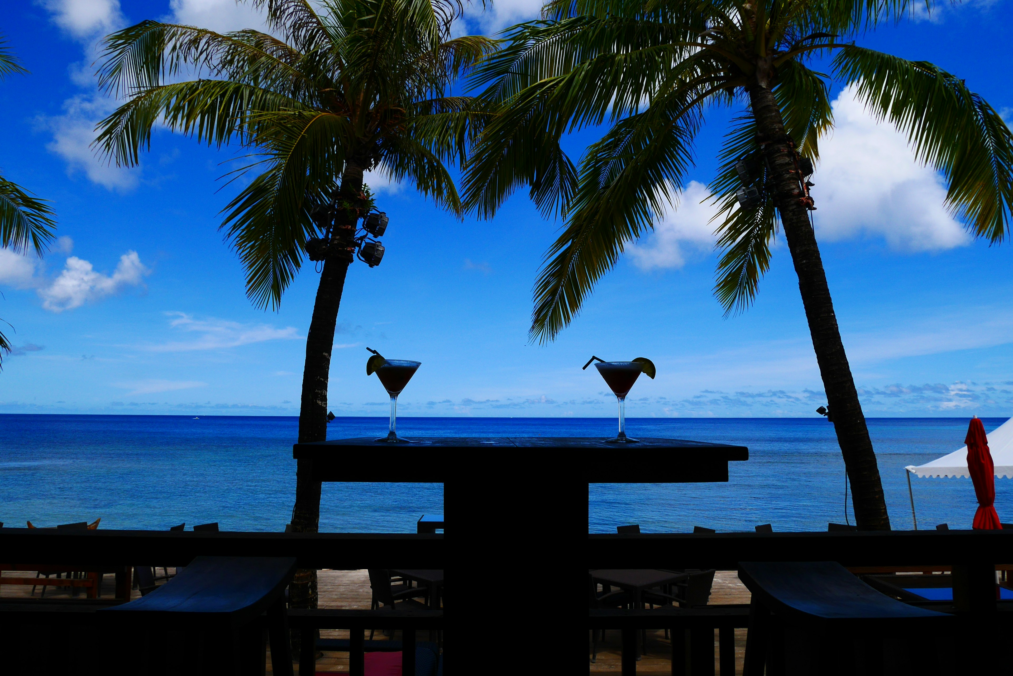 Silhouette von Palmen und Cocktails vor blauem Ozean und Himmel