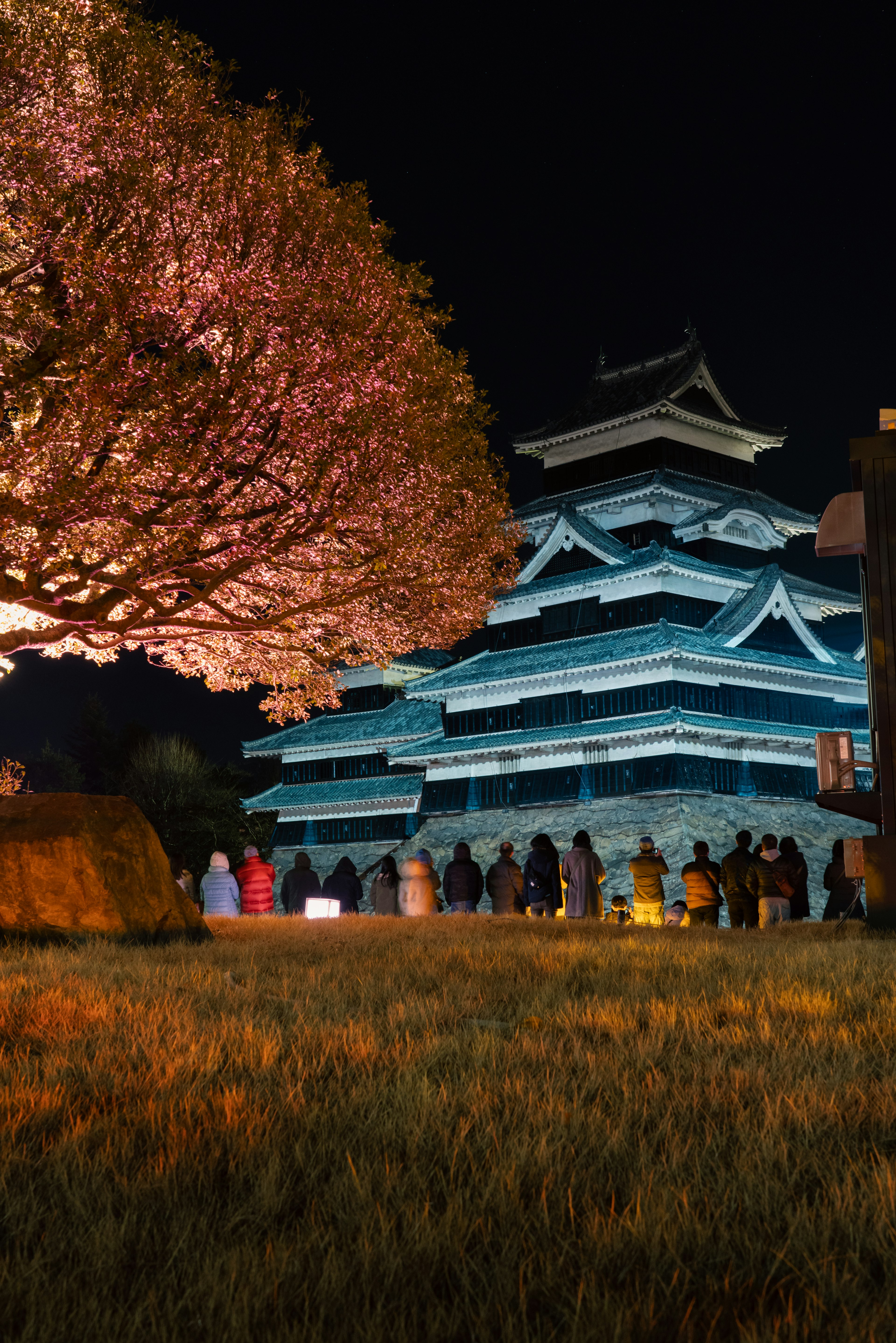 Kastil Matsumoto yang diterangi di malam hari dengan bunga sakura dan siluet pengunjung