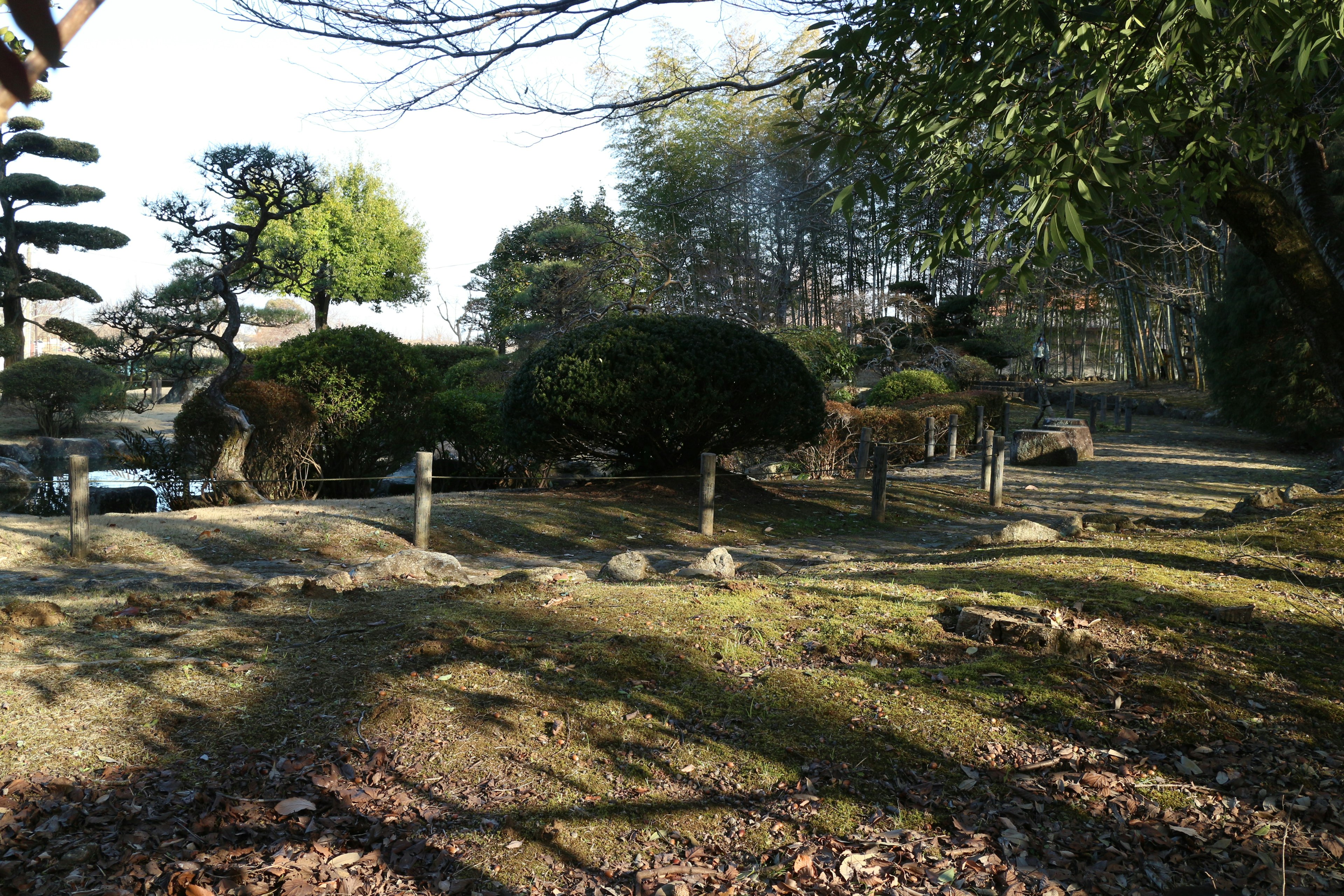 Ruhige japanische Gartenszene mit üppigem Grün und angeordneten Steinen