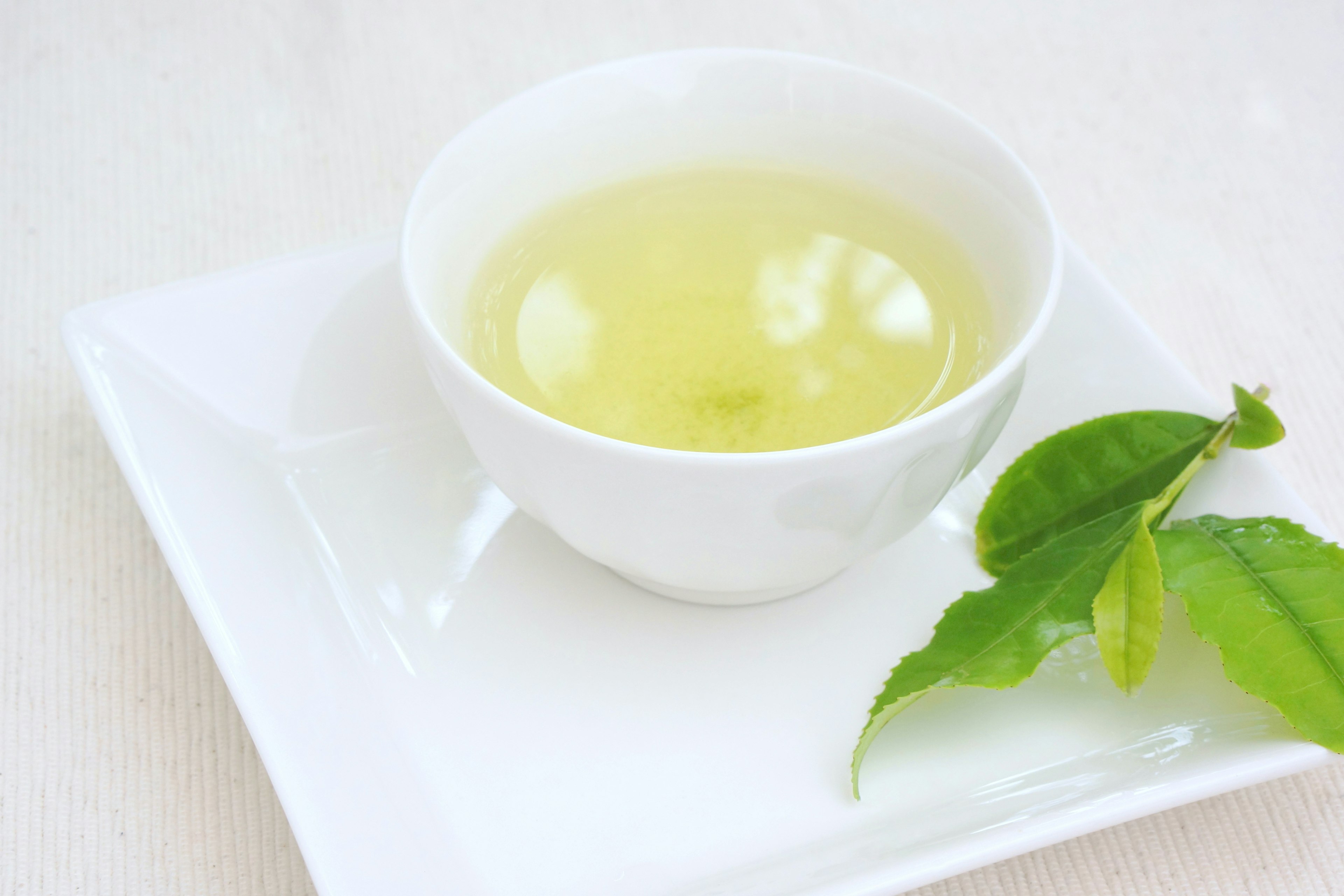 Thé vert dans une tasse blanche avec des feuilles de thé vert à côté