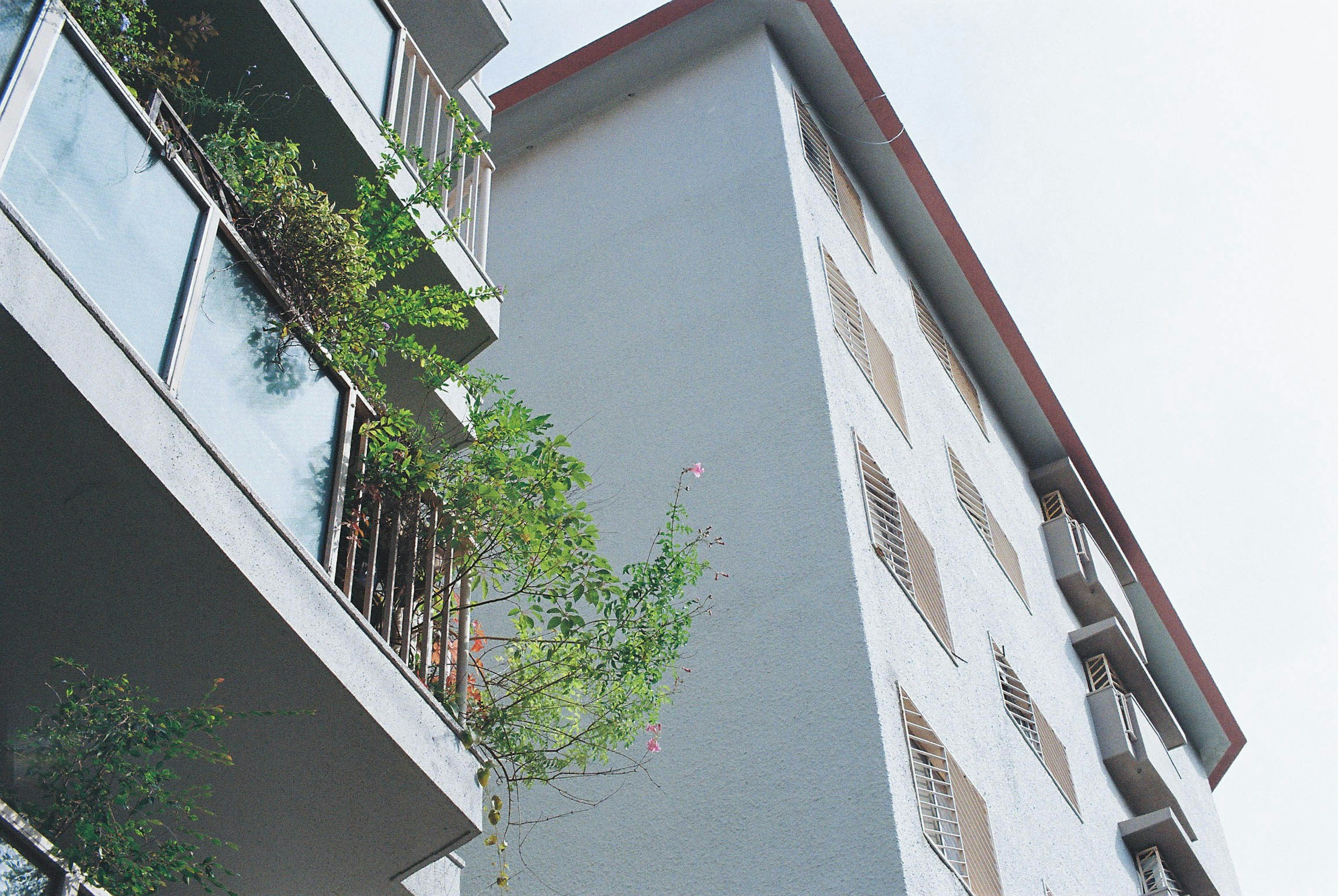 Vista lateral de un edificio de gran altura con balcones y vegetación