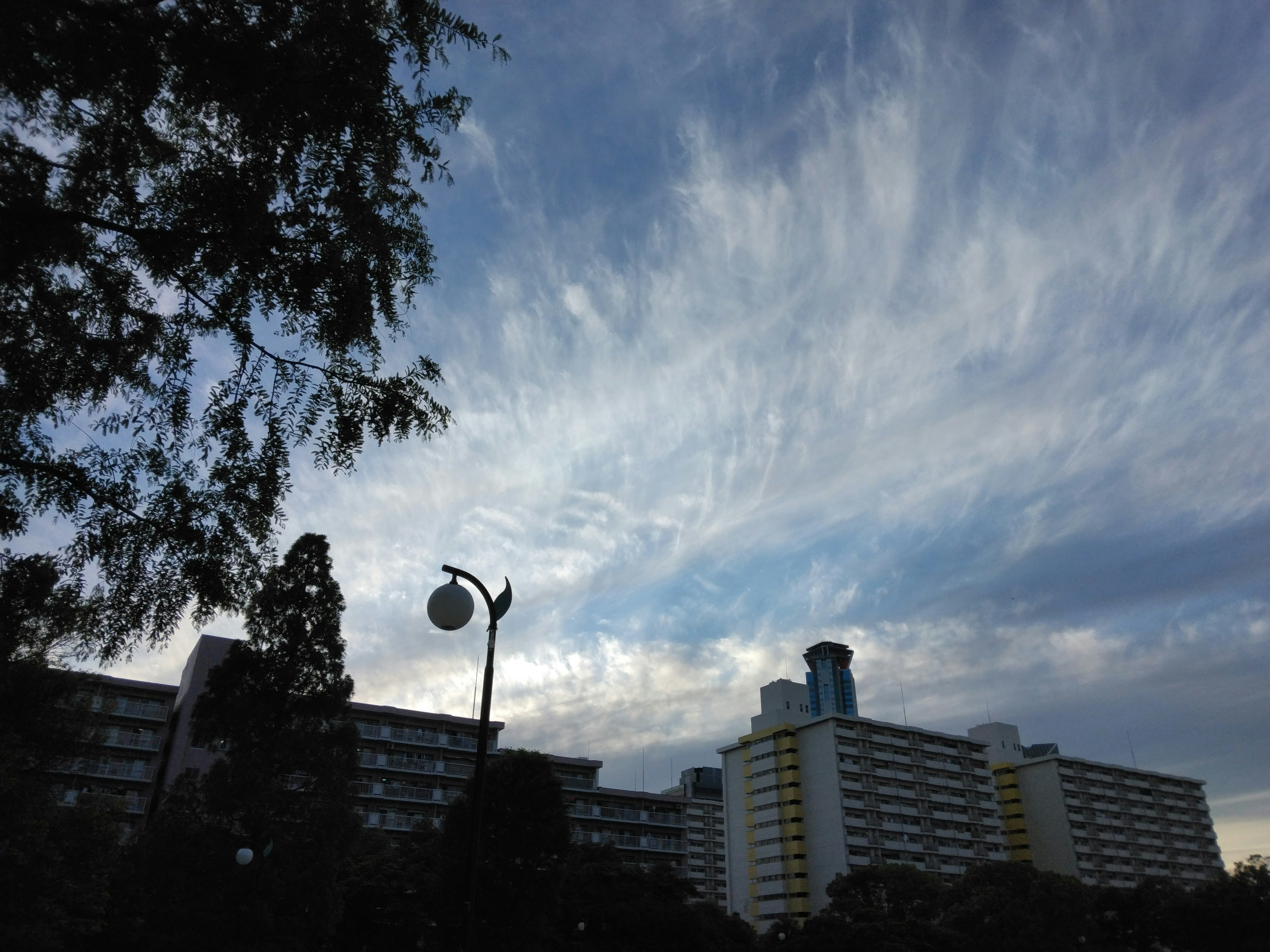 青空と雲が広がる背景に高層ビルと街灯が見える風景