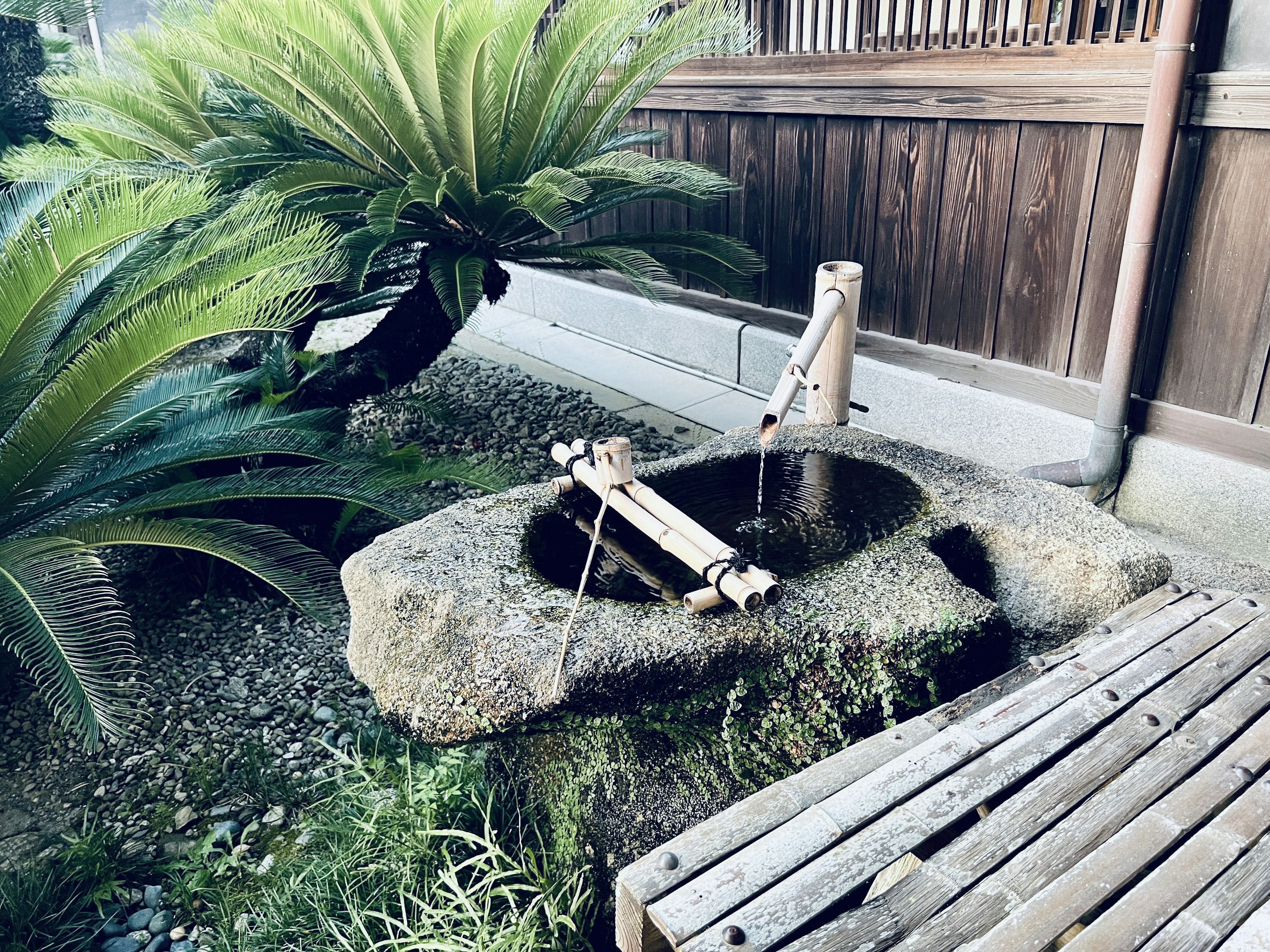 Un vecchio pozzo di pietra in un giardino circondato da vegetazione lussureggiante