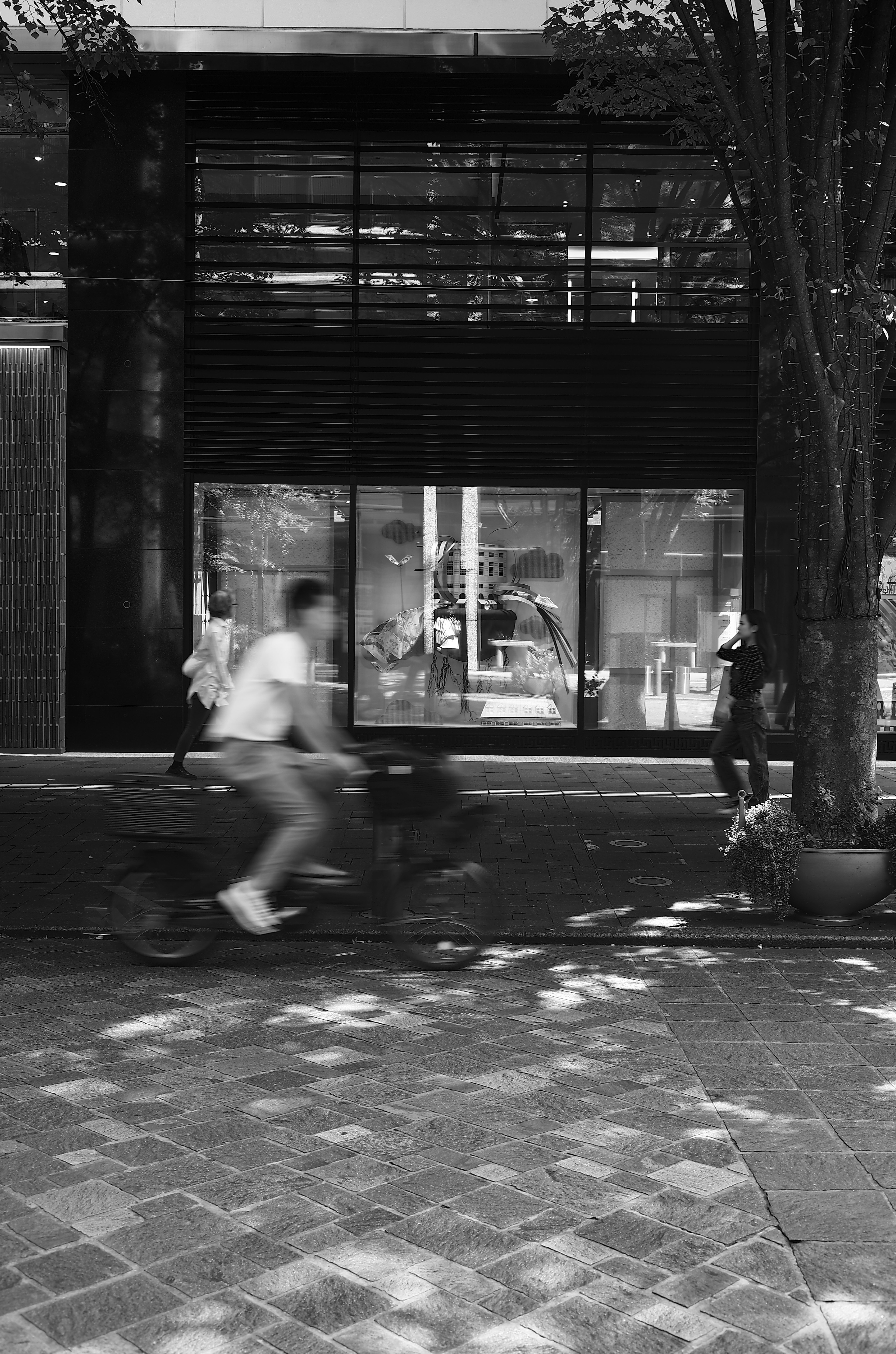 黒と白の街並みで自転車に乗る人物と店舗の窓が映る風景