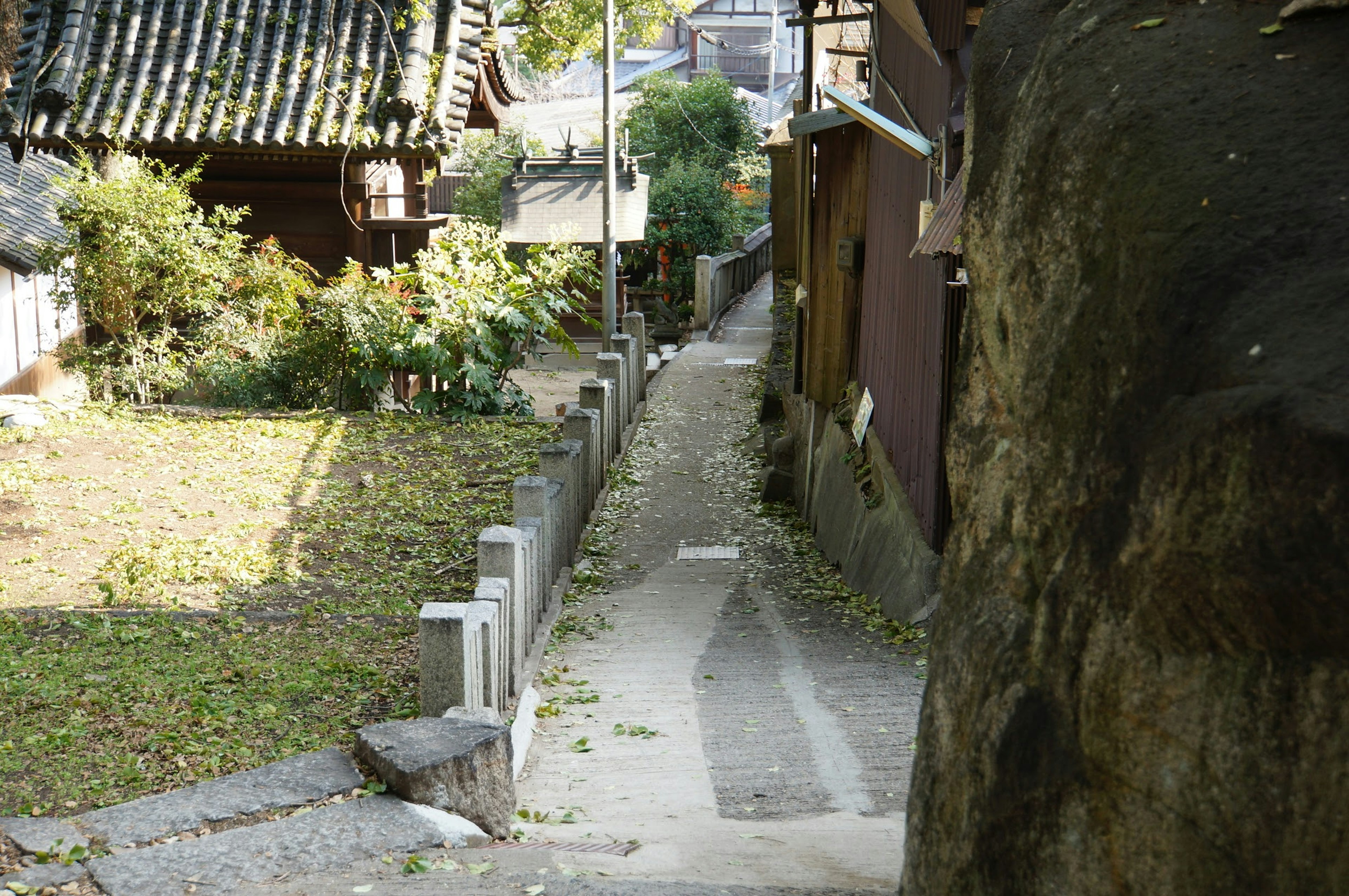 เส้นทางแคบในเมืองญี่ปุ่นโบราณที่มีพืชพรรณรอบๆ