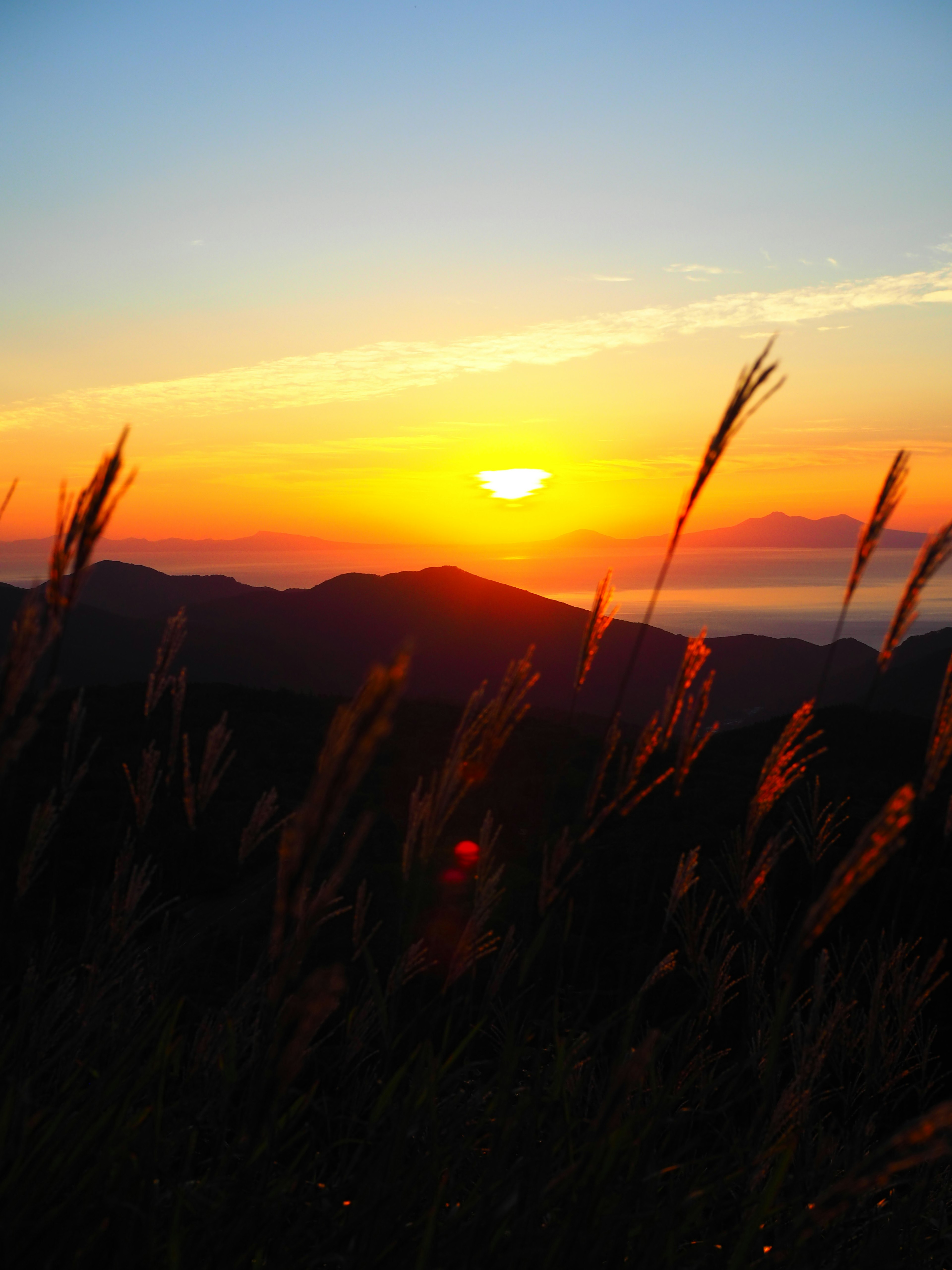 Paesaggio bellissimo con il tramonto dietro le silhouette delle montagne e le spighe d'erba