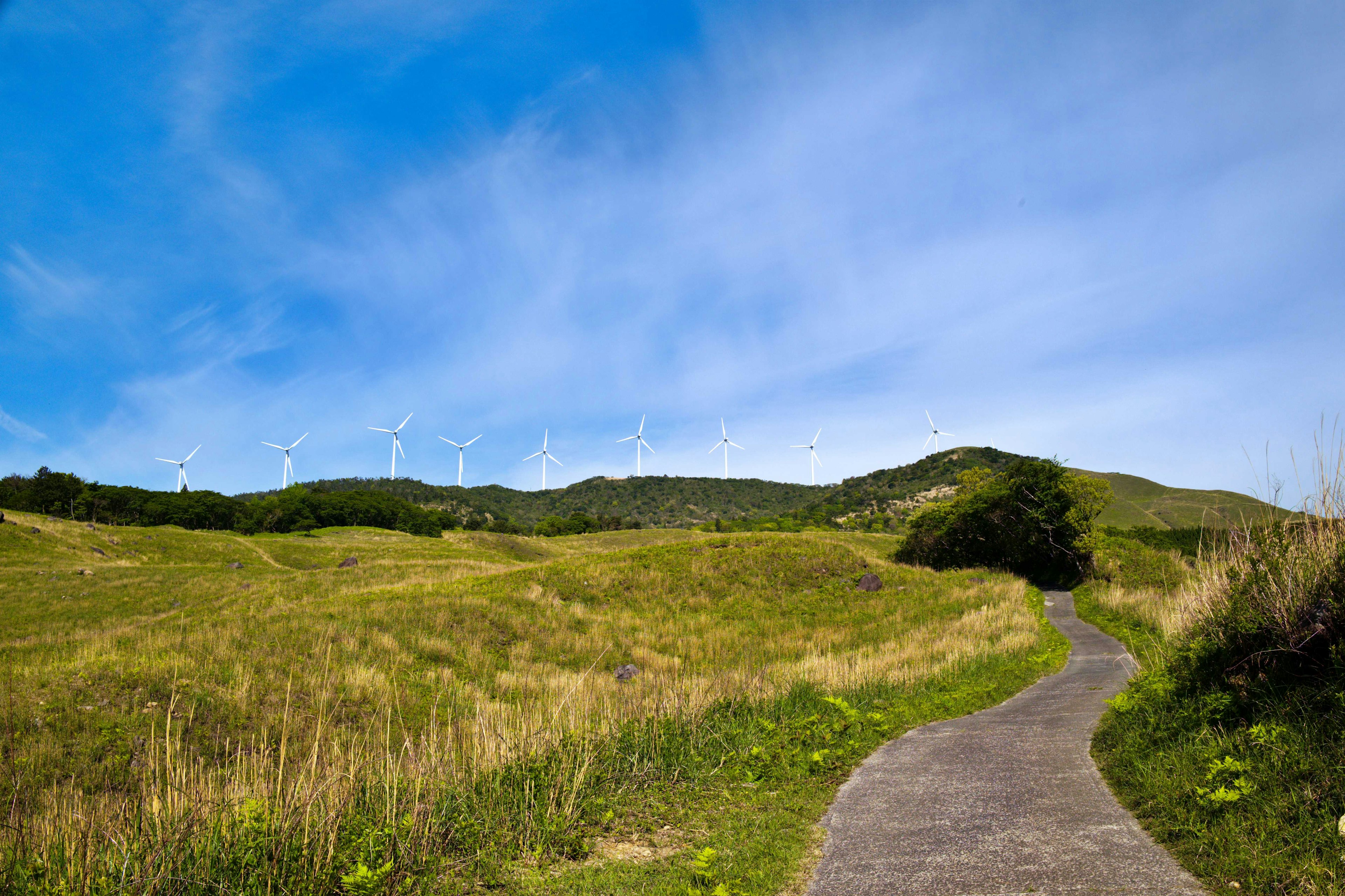 Sentier serpentant à travers des collines verdoyantes sous un ciel bleu avec des éoliennes