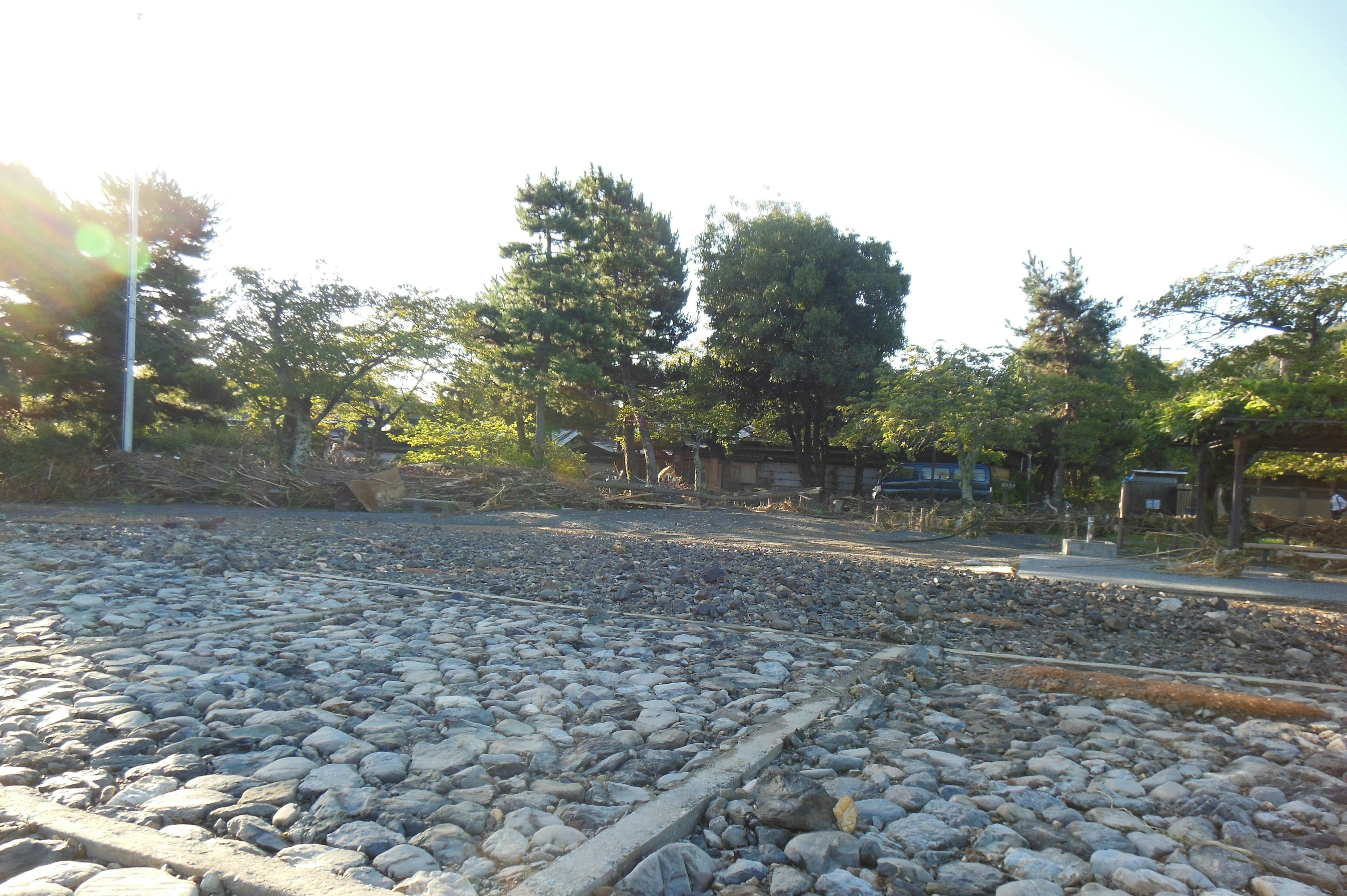 Landscape featuring a cobblestone path and trees