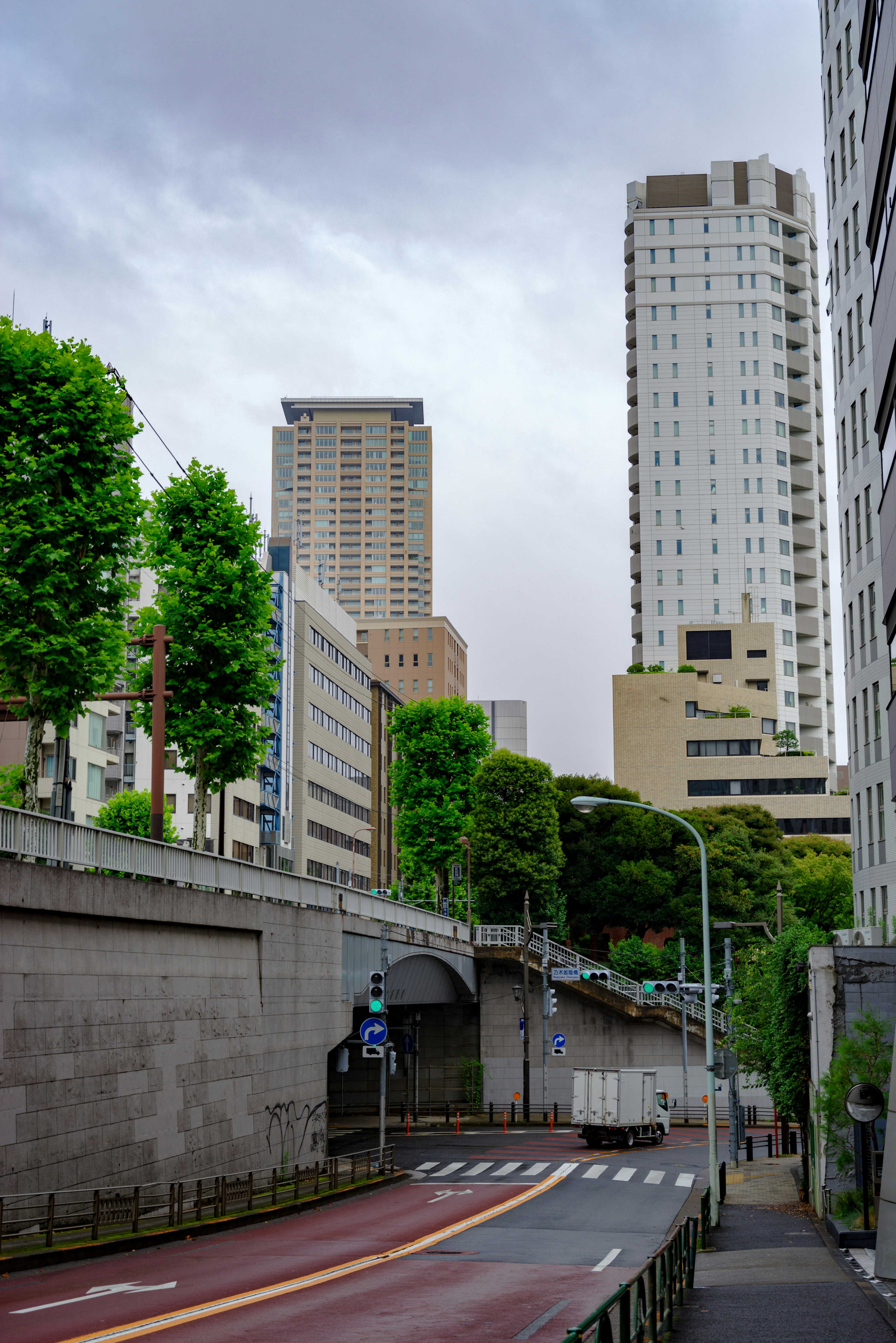 Urban landscape featuring tall buildings and lush street trees