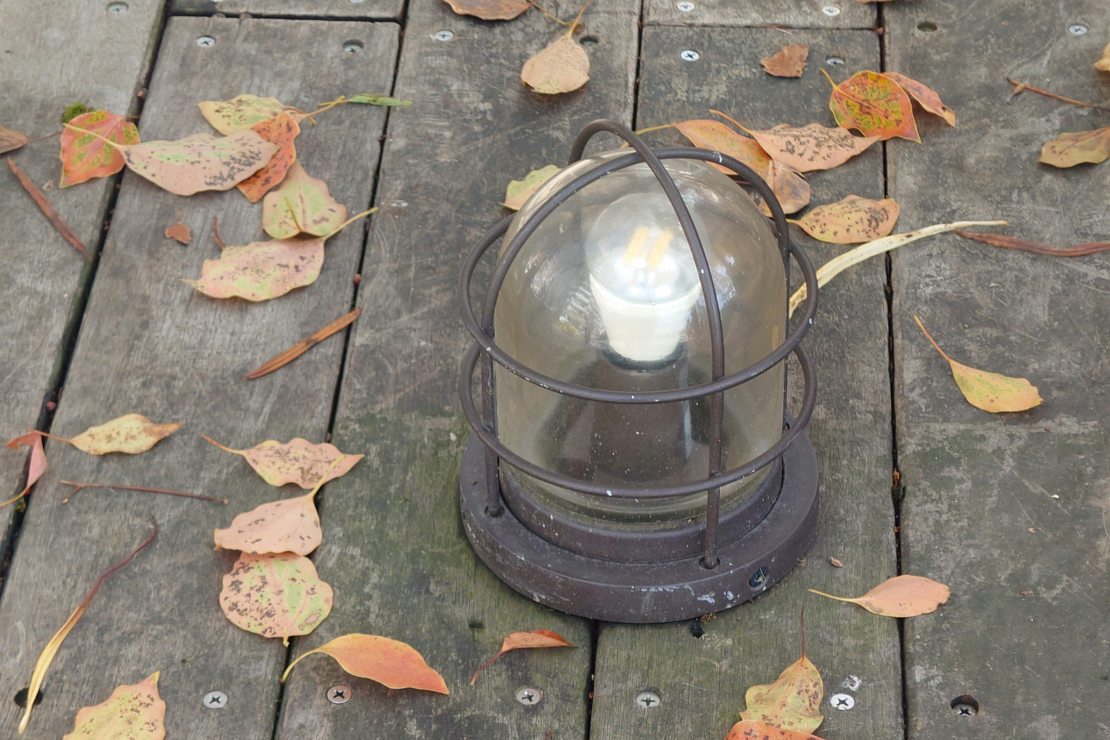 Lampada a cupola di vetro su un ponte di legno circondata da foglie cadute