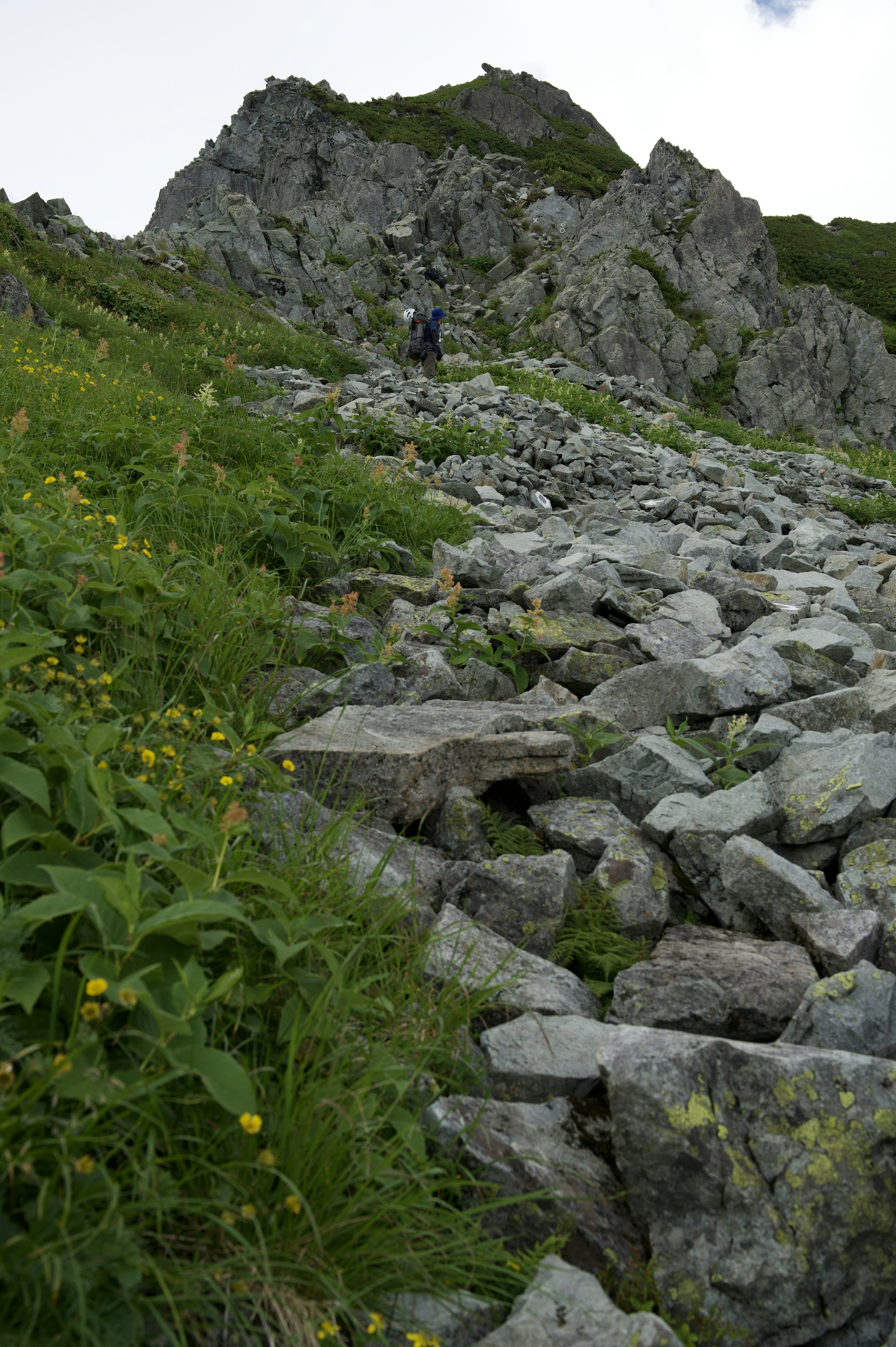 Wanderer, der einen felsigen Bergweg mit Grünflächen erklimmt