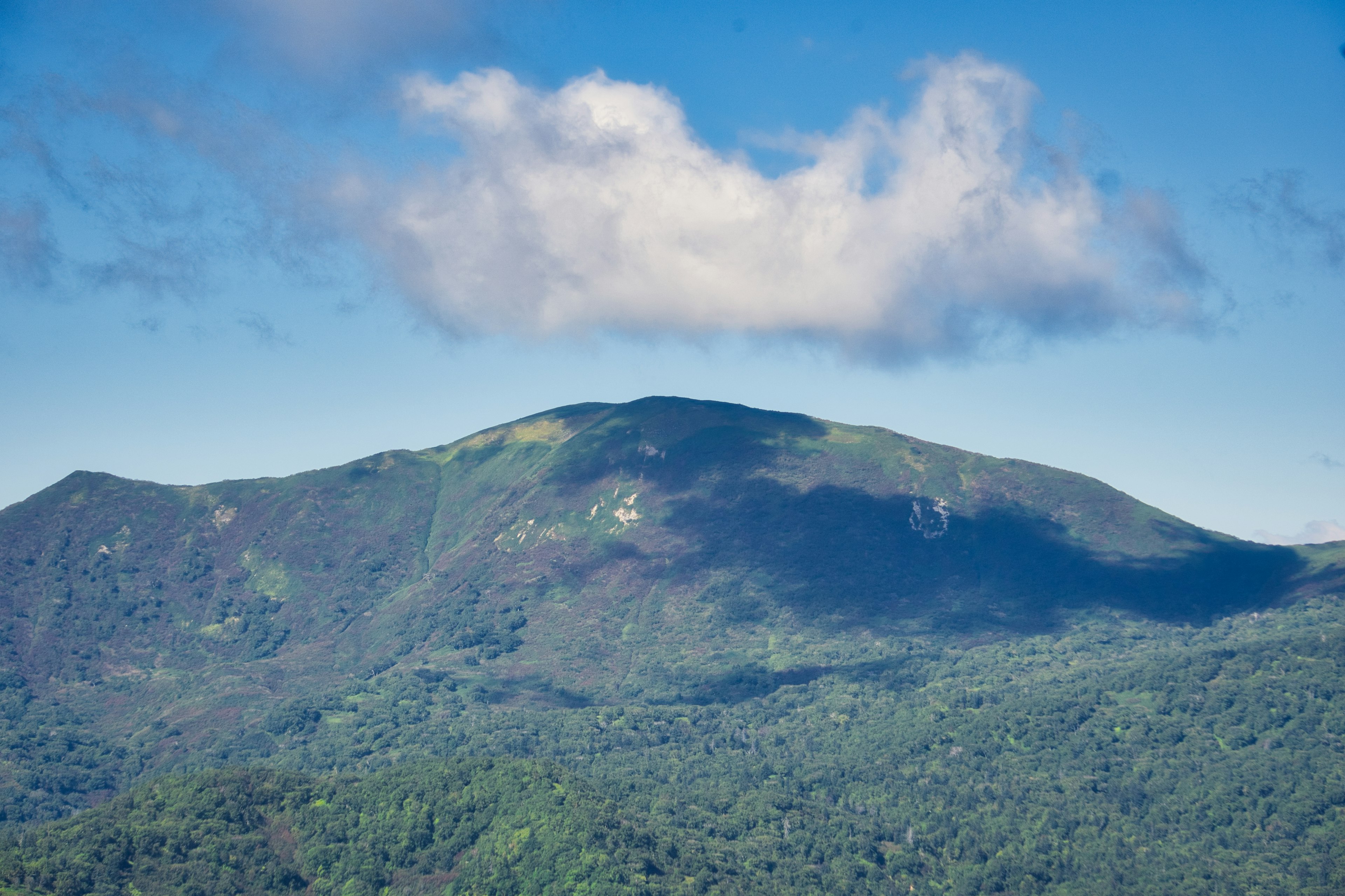 Paysage de montagne verdoyant sous un ciel bleu avec des nuages blancs