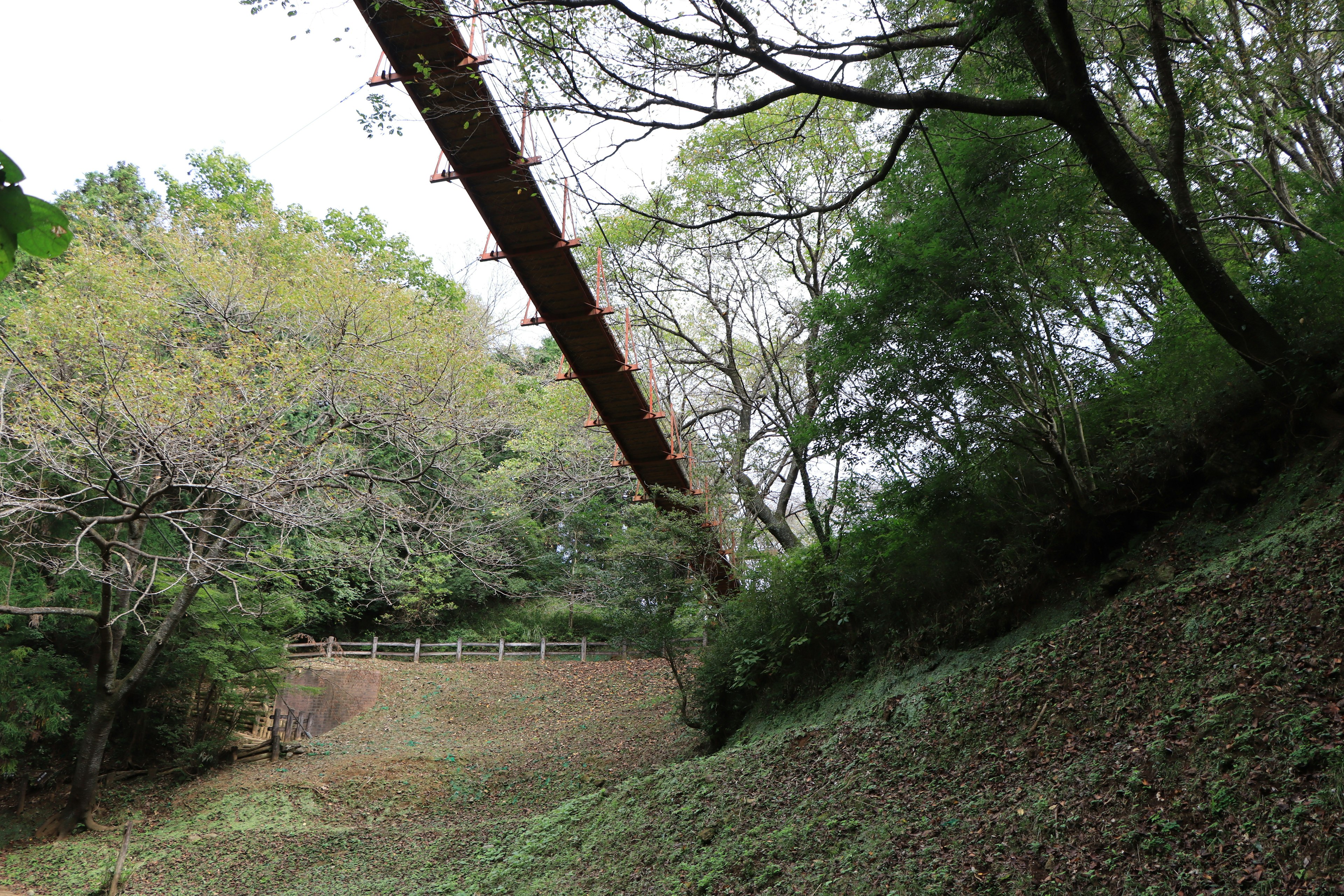 木々に囲まれた小道にかかる長い橋の風景