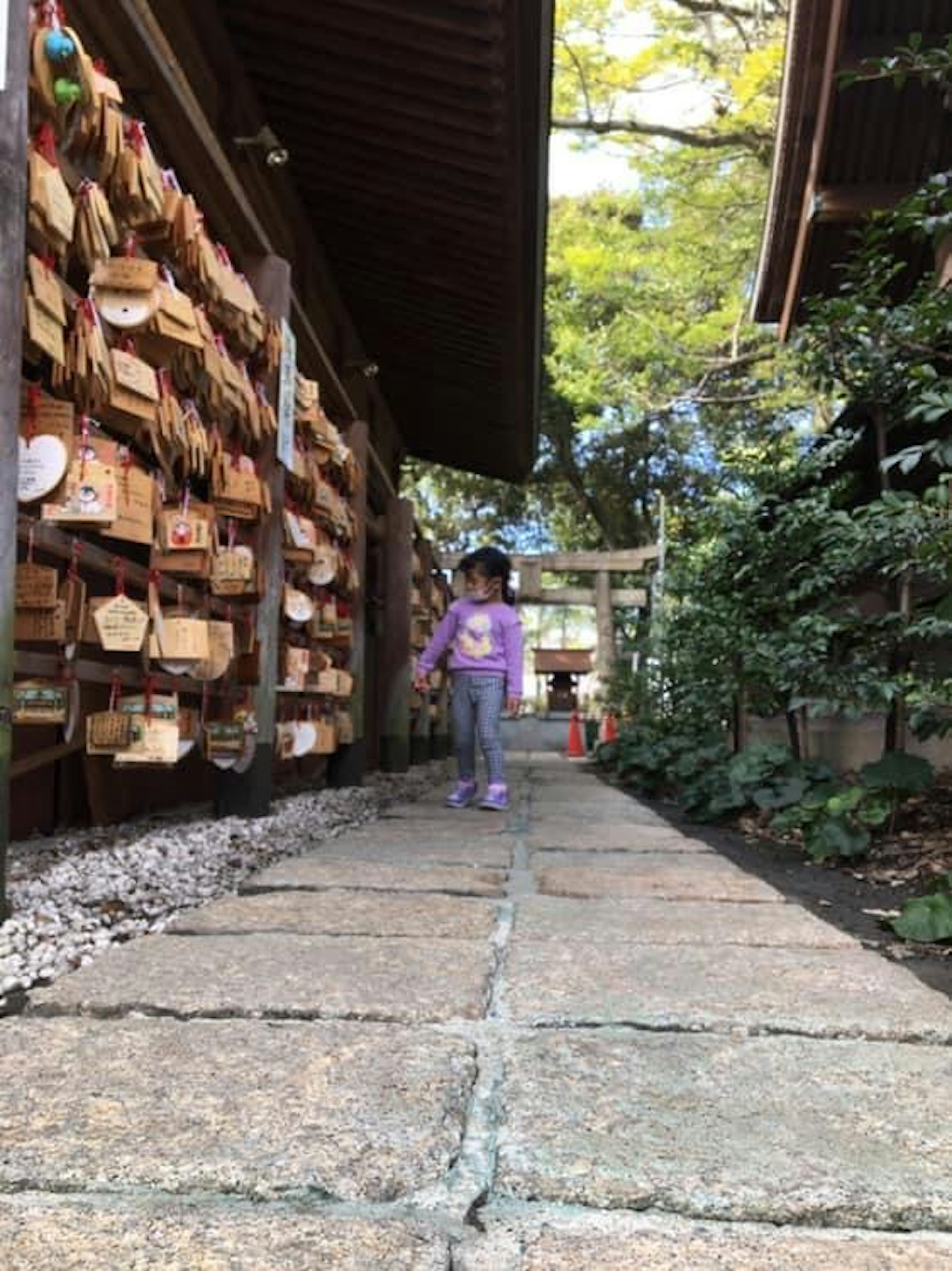 Un niño caminando sobre un pavimento de piedra rodeado de placas ema de madera y vegetación