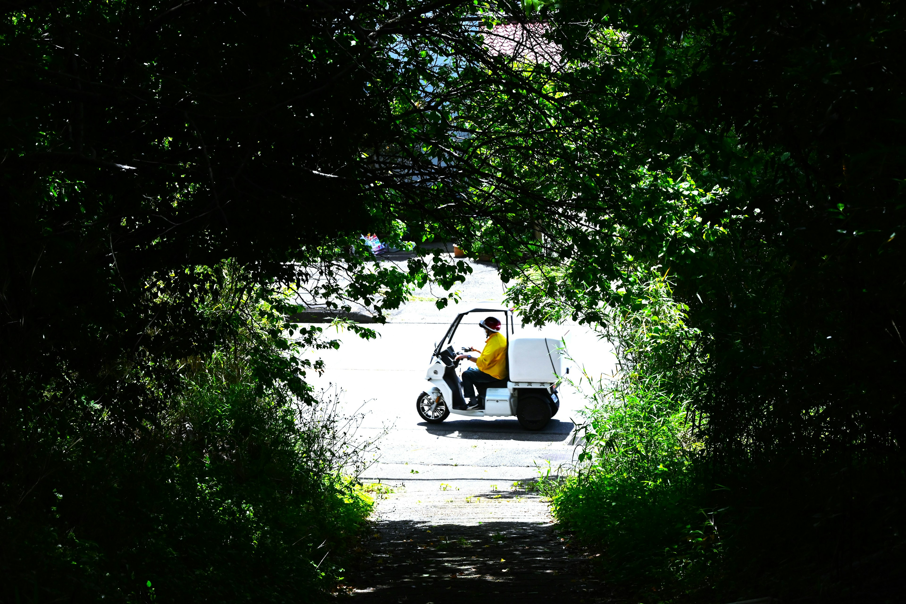 Livreur à moto vu à travers un tunnel d'arbres sur un chemin lumineux