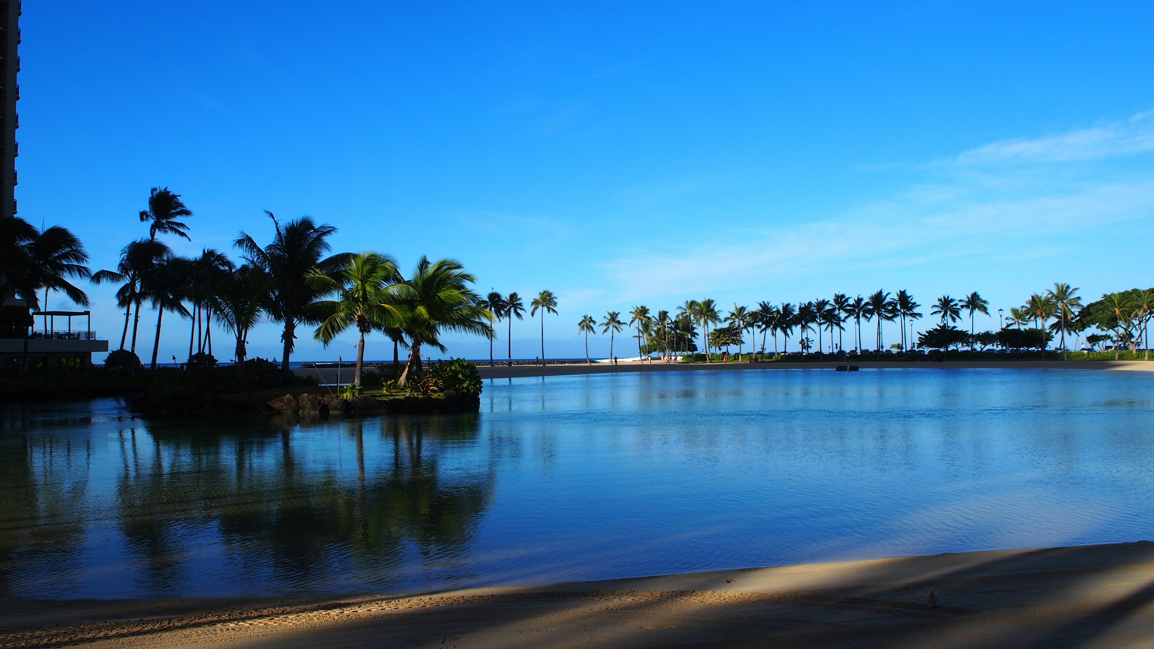 Malersicher Strandblick mit blauem Himmel und ruhigem Wasser, gesäumt von Palmen