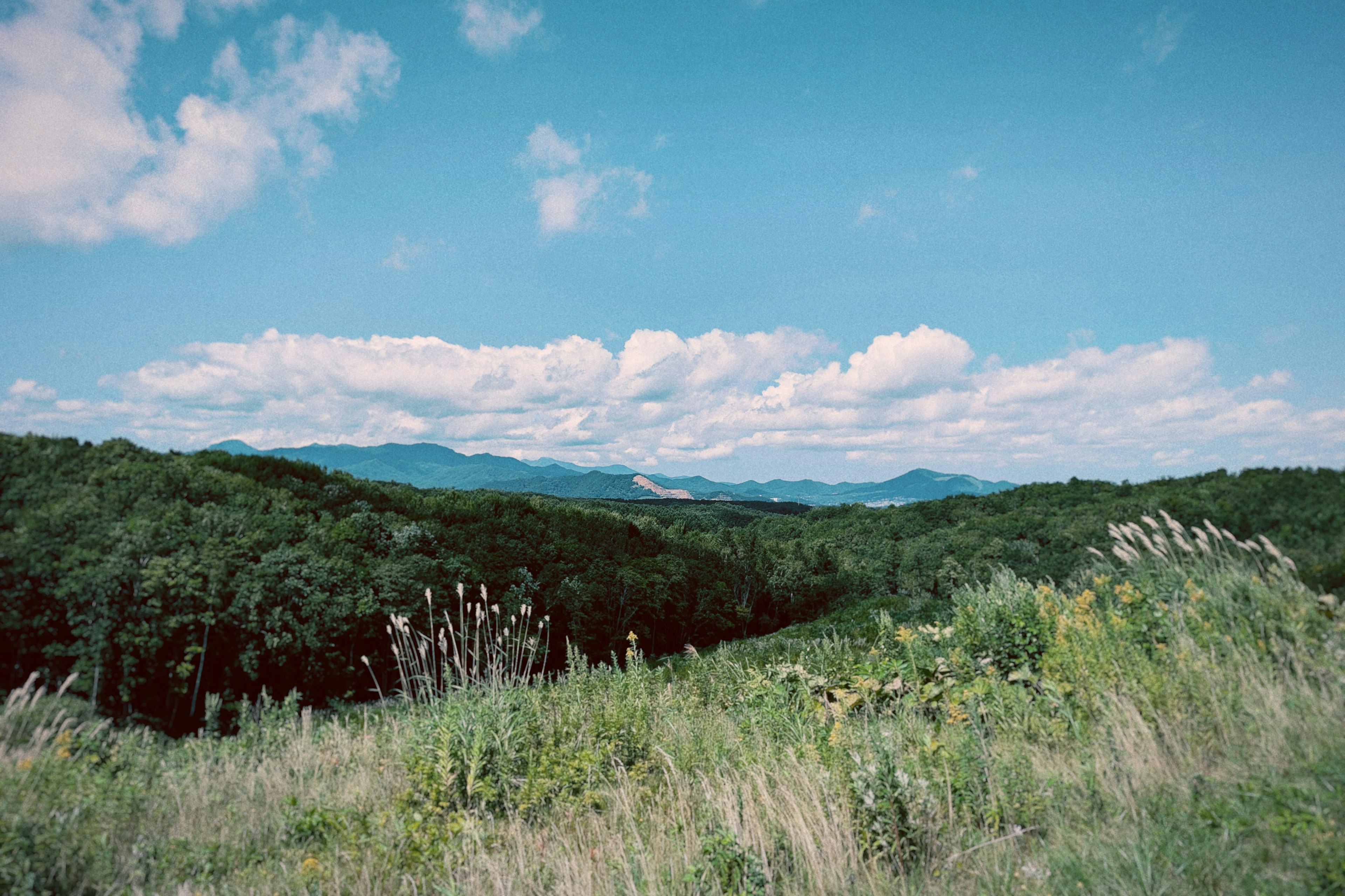 Paisaje montañoso con cielo azul y nubes prados y bosques verdes