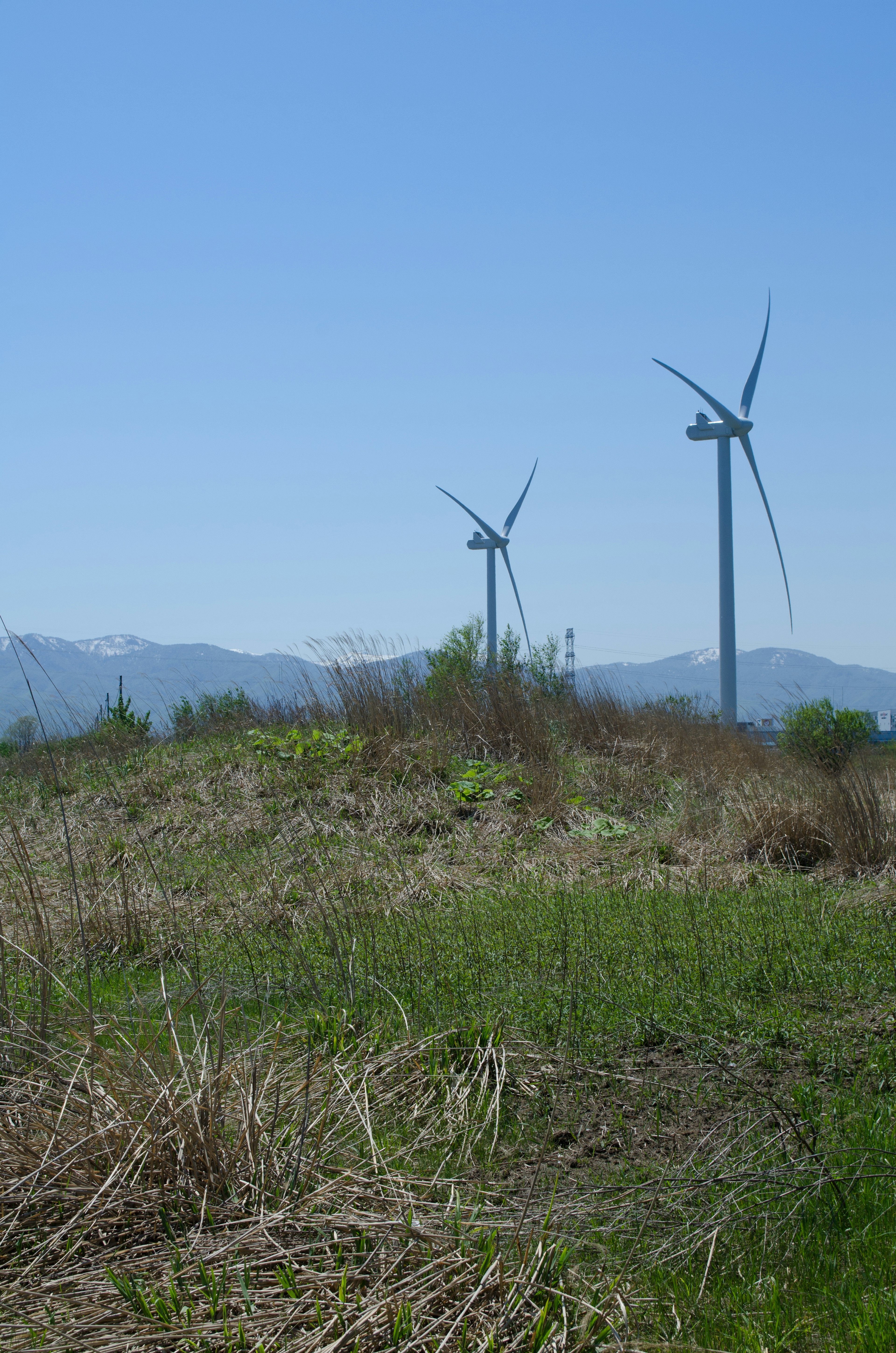 Campo verde con turbinas eólicas bajo un cielo azul claro