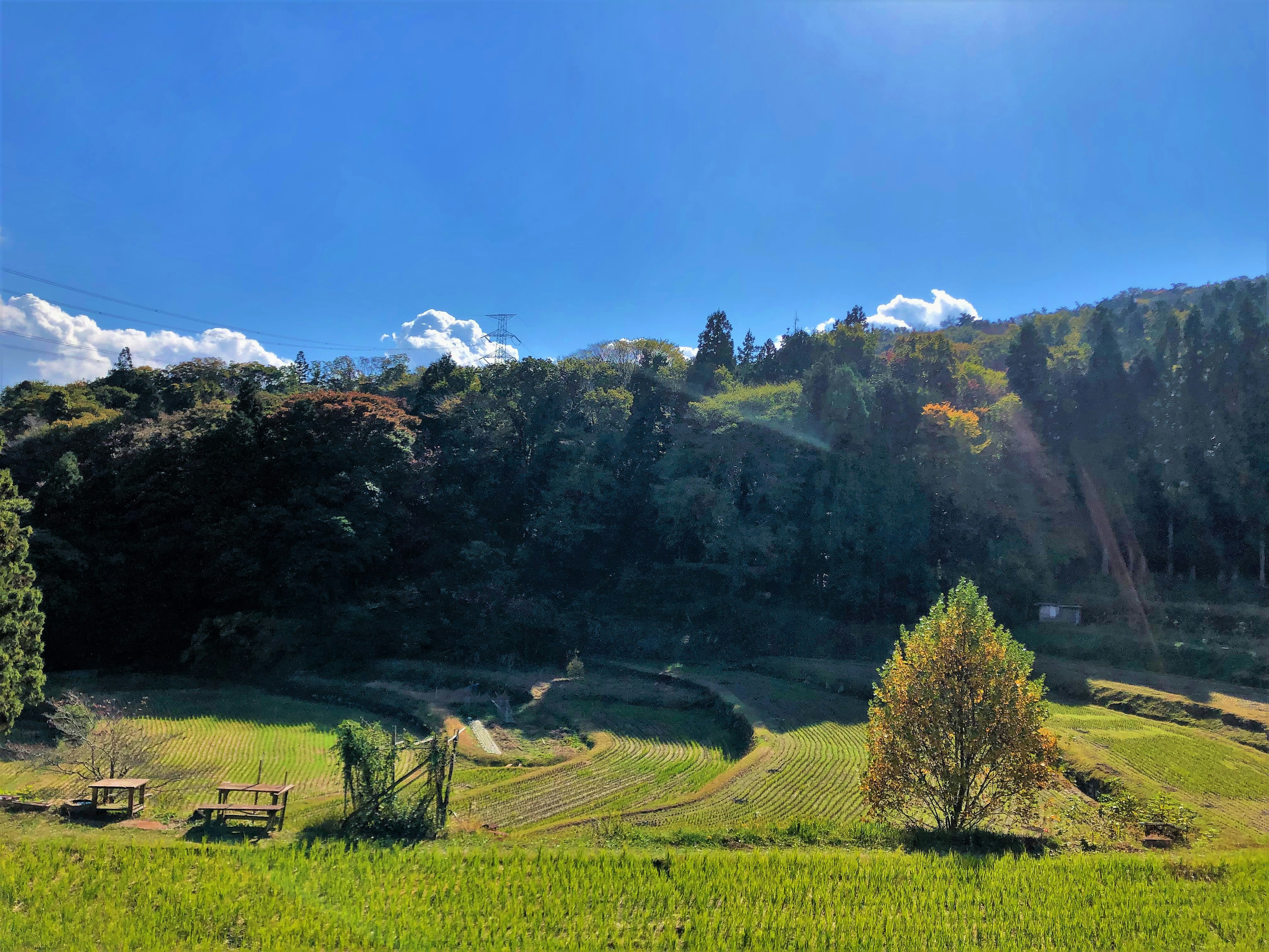 Paesaggio con cielo blu colline verdi punteggiate da alberi e terreni agricoli