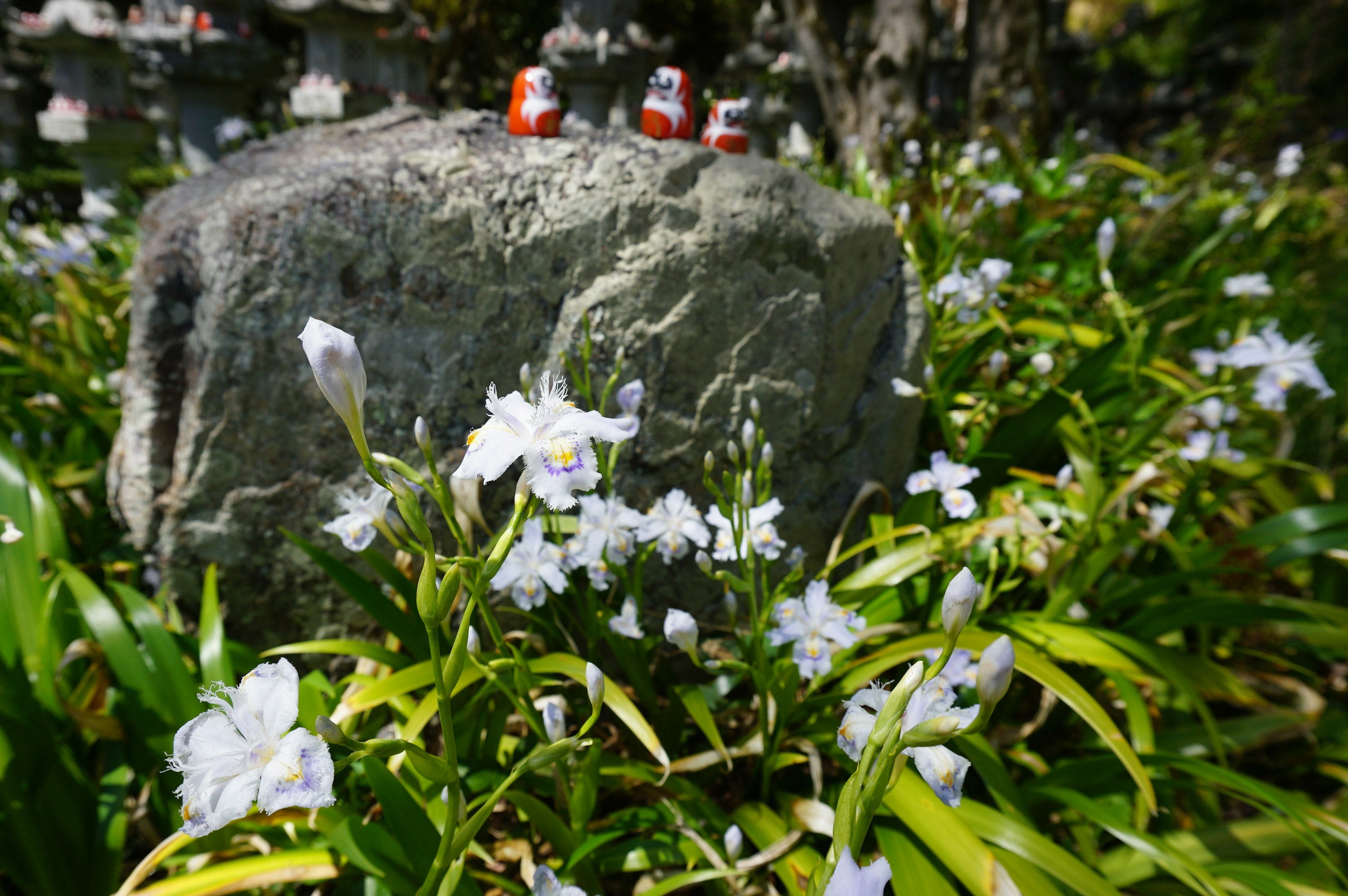 Una scena di un'aiuola con fiori bianchi che circondano una pietra con piccole figurine sopra