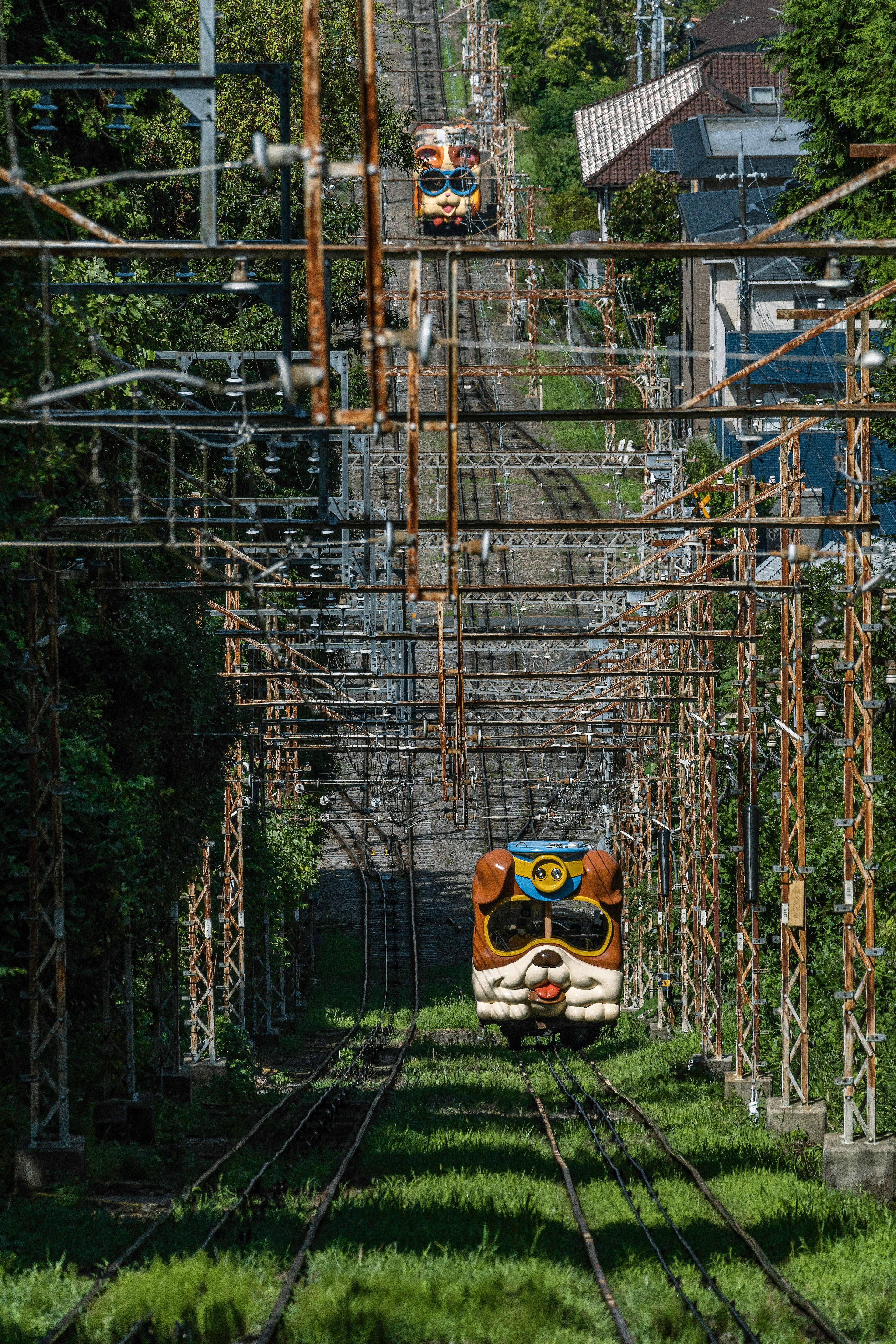 火車穿過郁郁蔥蔥的風景和高架電線