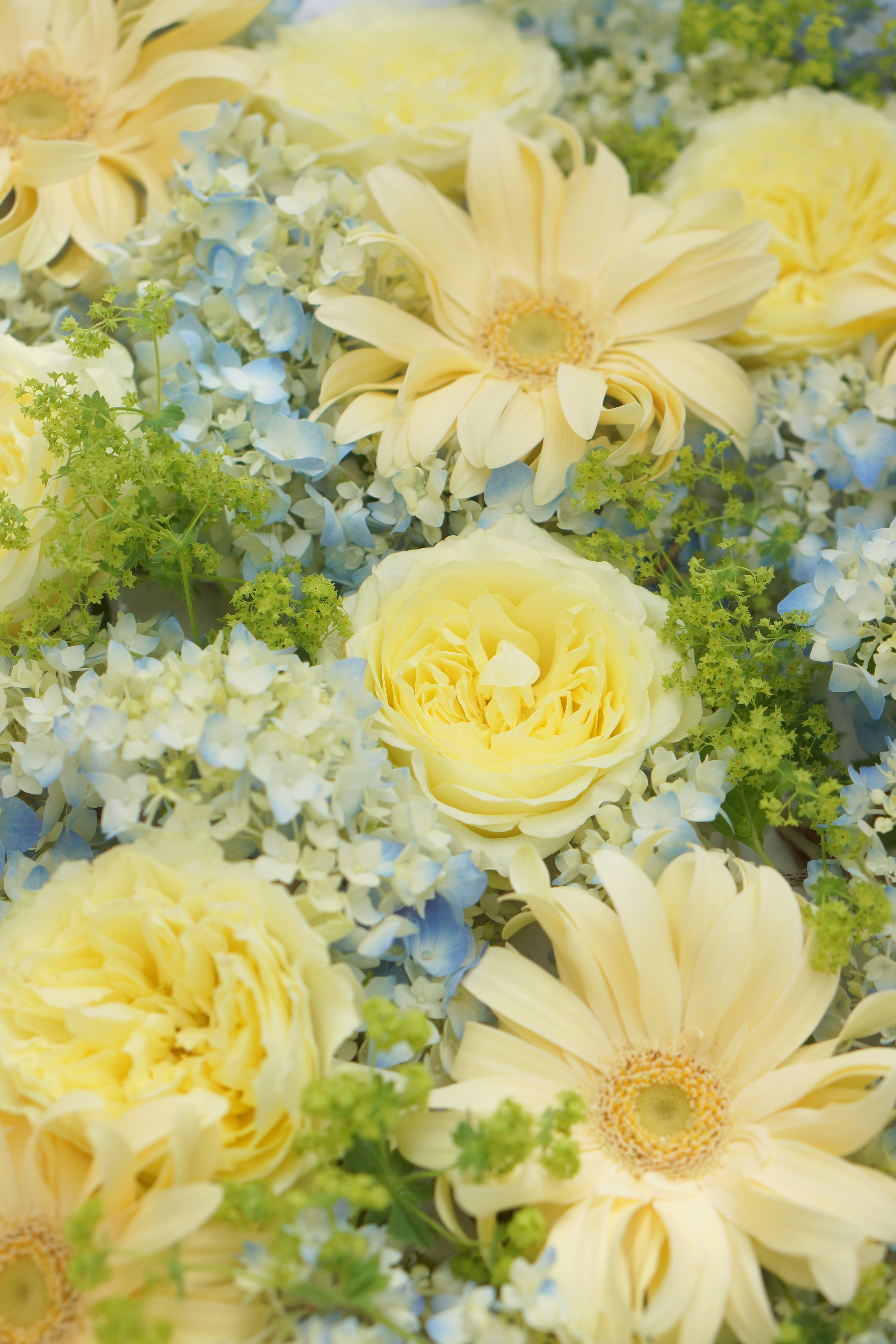 Un magnifique bouquet avec des fleurs jaunes pâles et des fleurs bleues