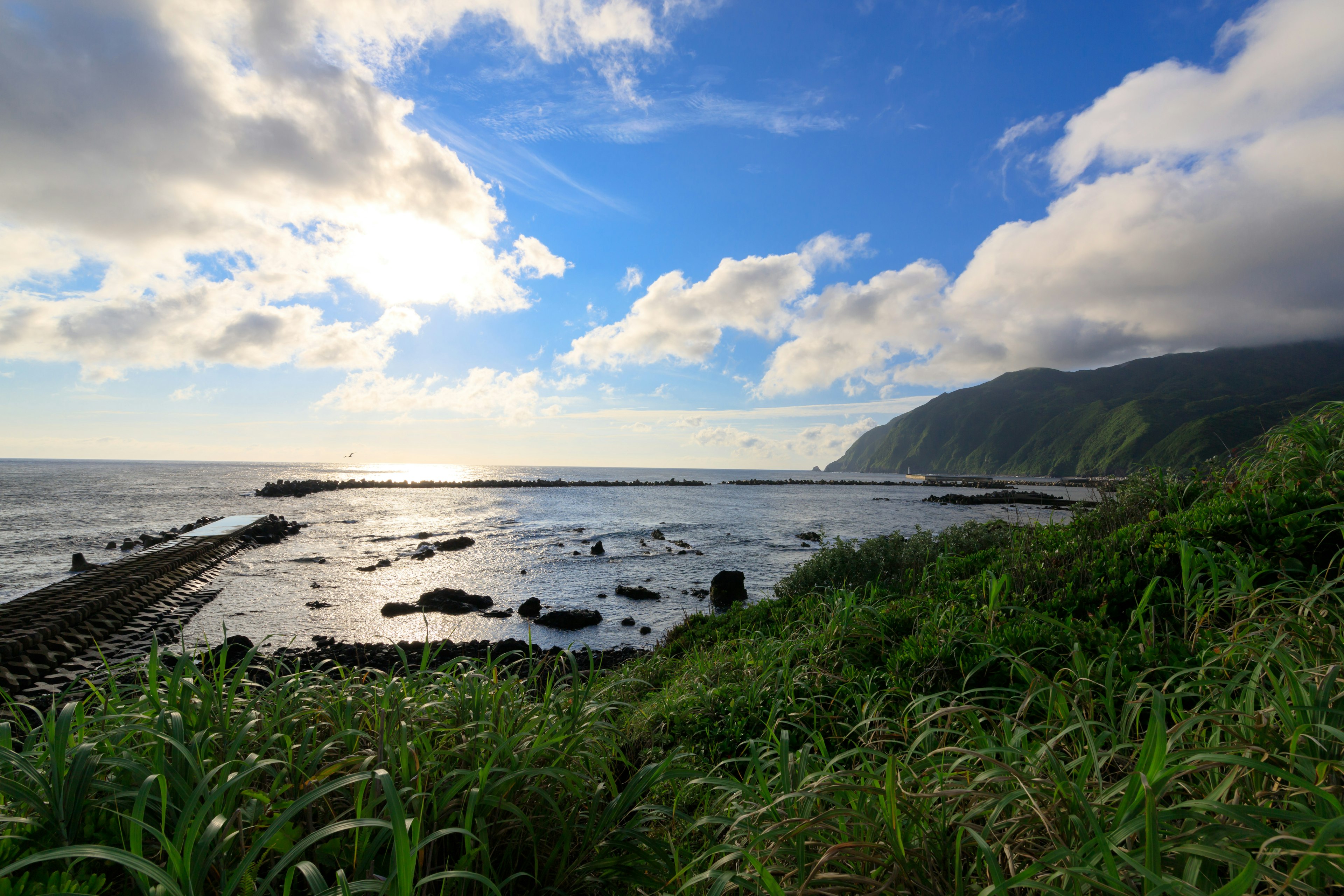 蓝色海洋和天空的风景，绿色草地和岩石海岸