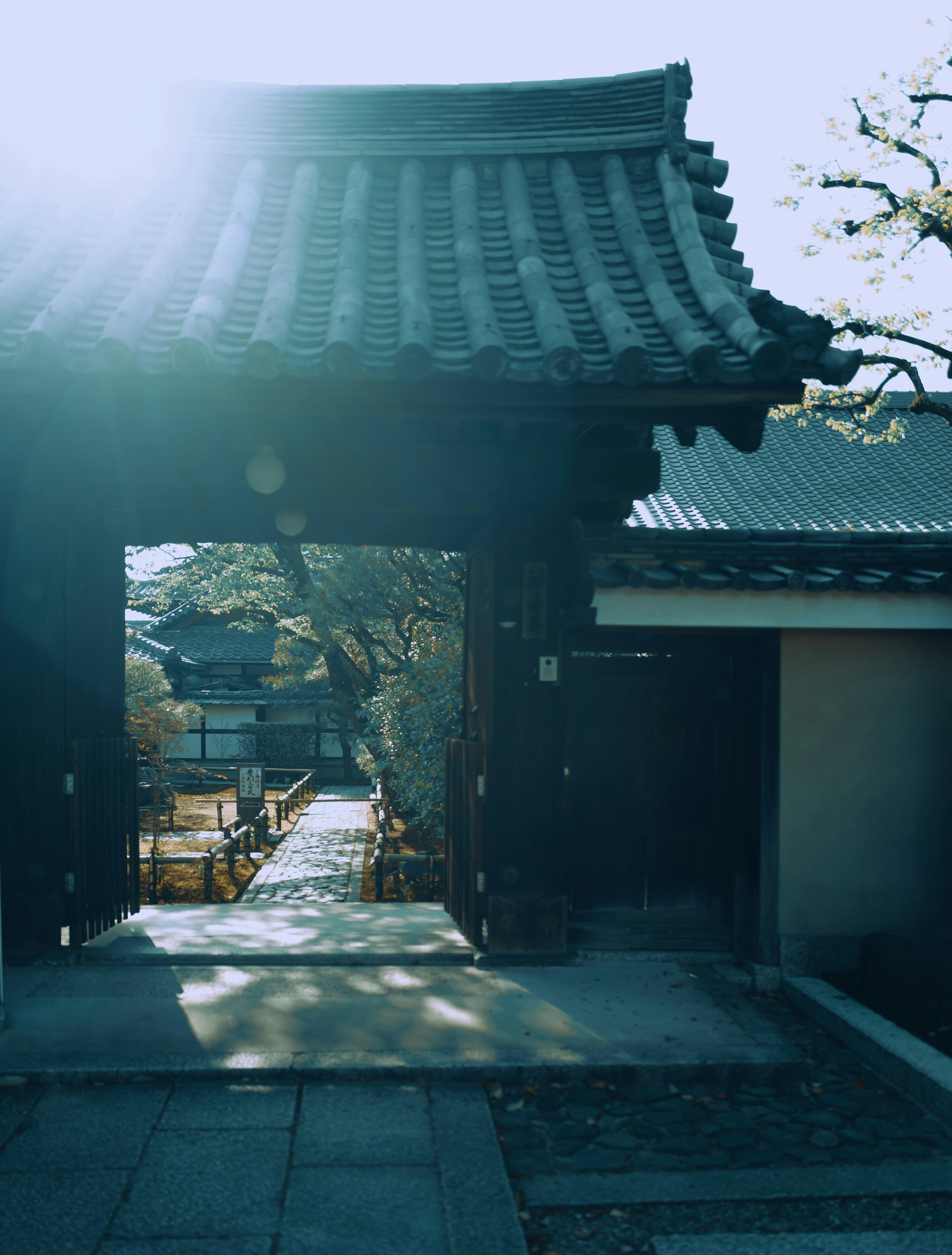 Blick auf ein traditionelles japanisches Tempeltor im blauen Licht