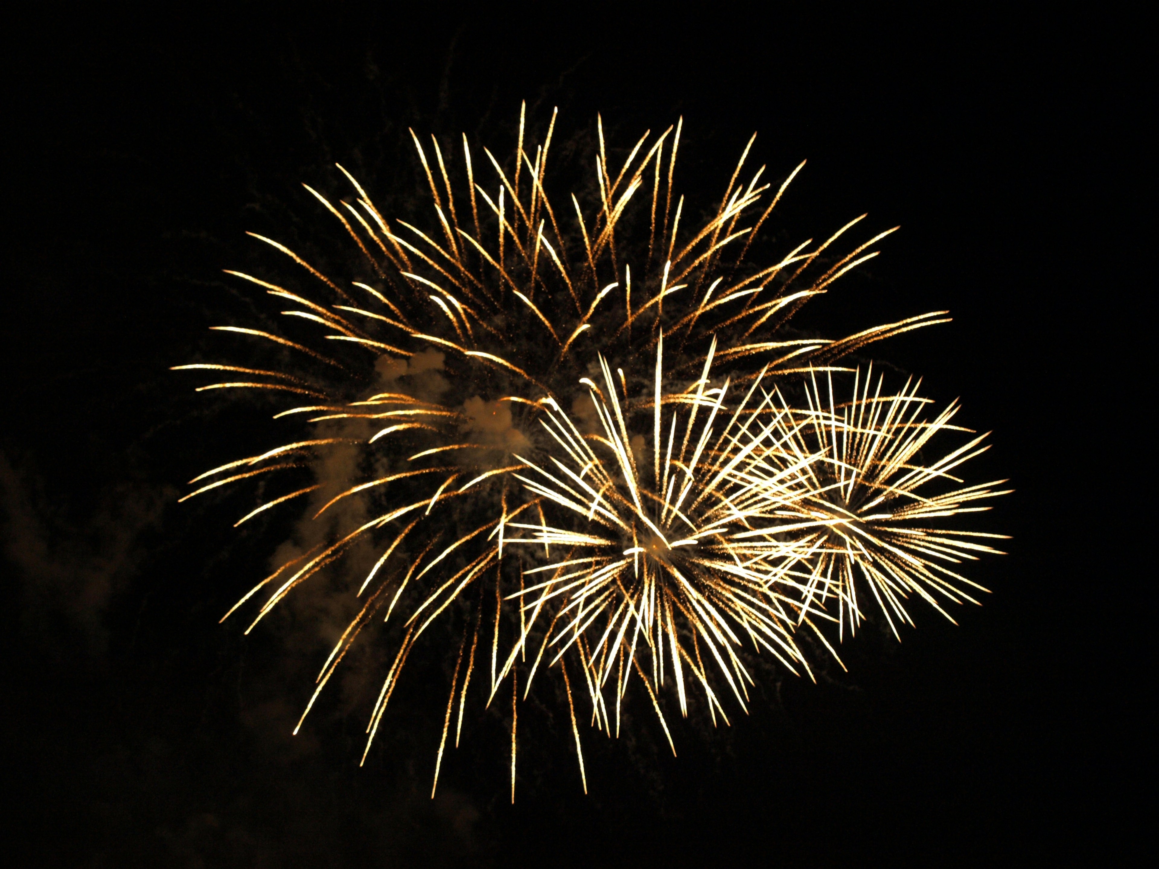 Fuegos artificiales estallando en el cielo nocturno