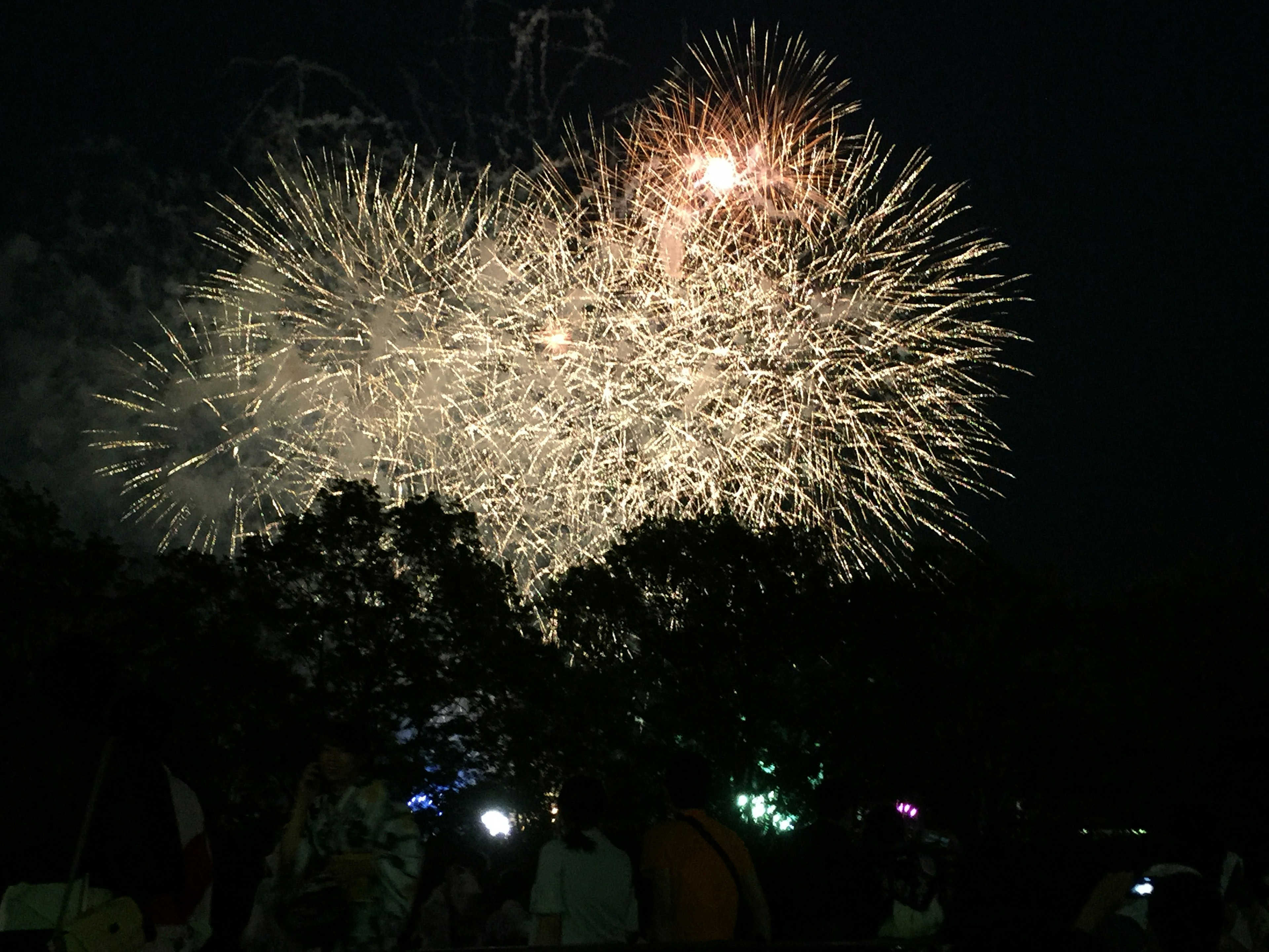 Spektakuläres Feuerwerk, das den Nachthimmel erhellt, mit Silhouetten von Zuschauern