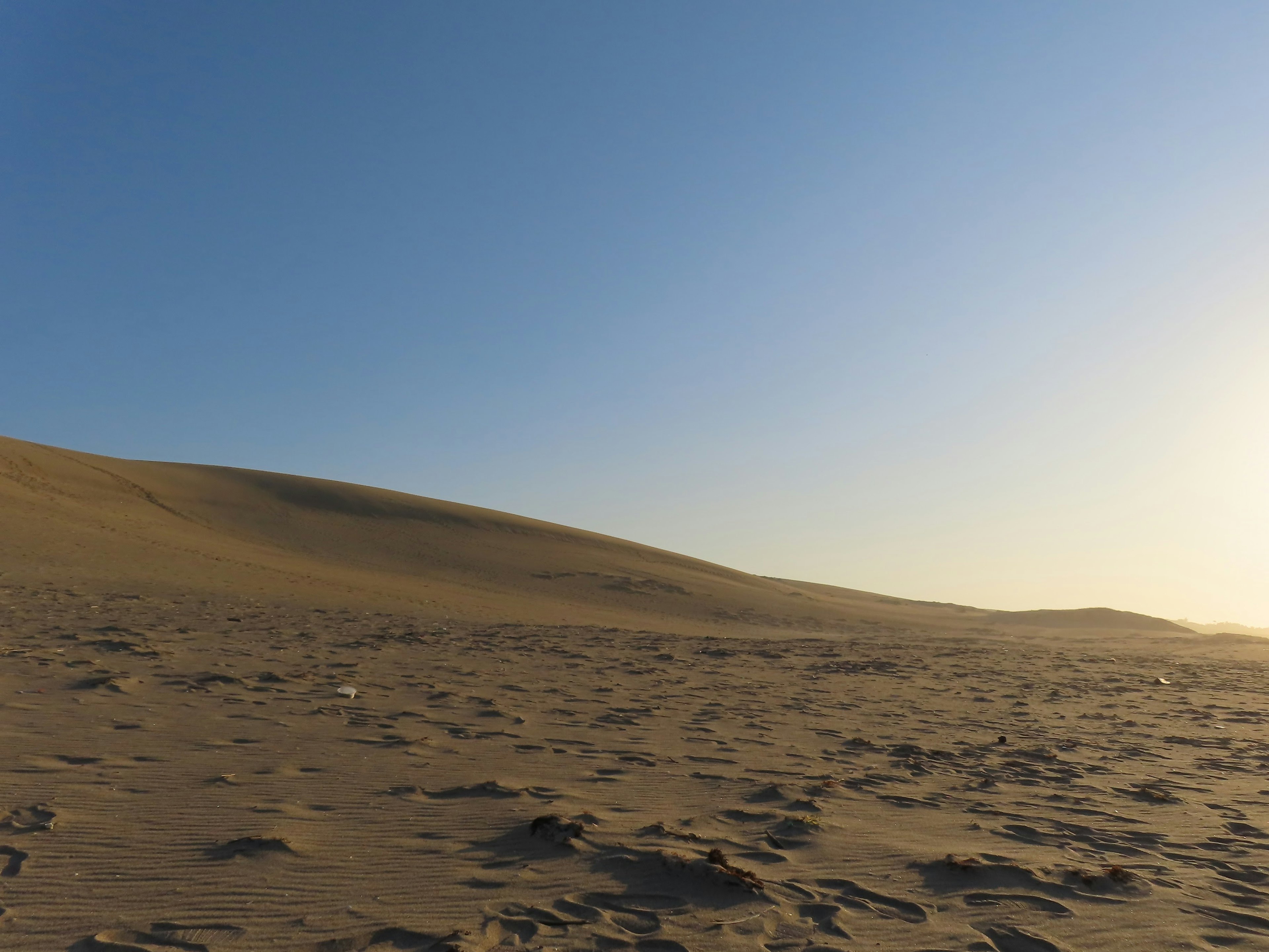 Expansive sand dunes under a clear blue sky