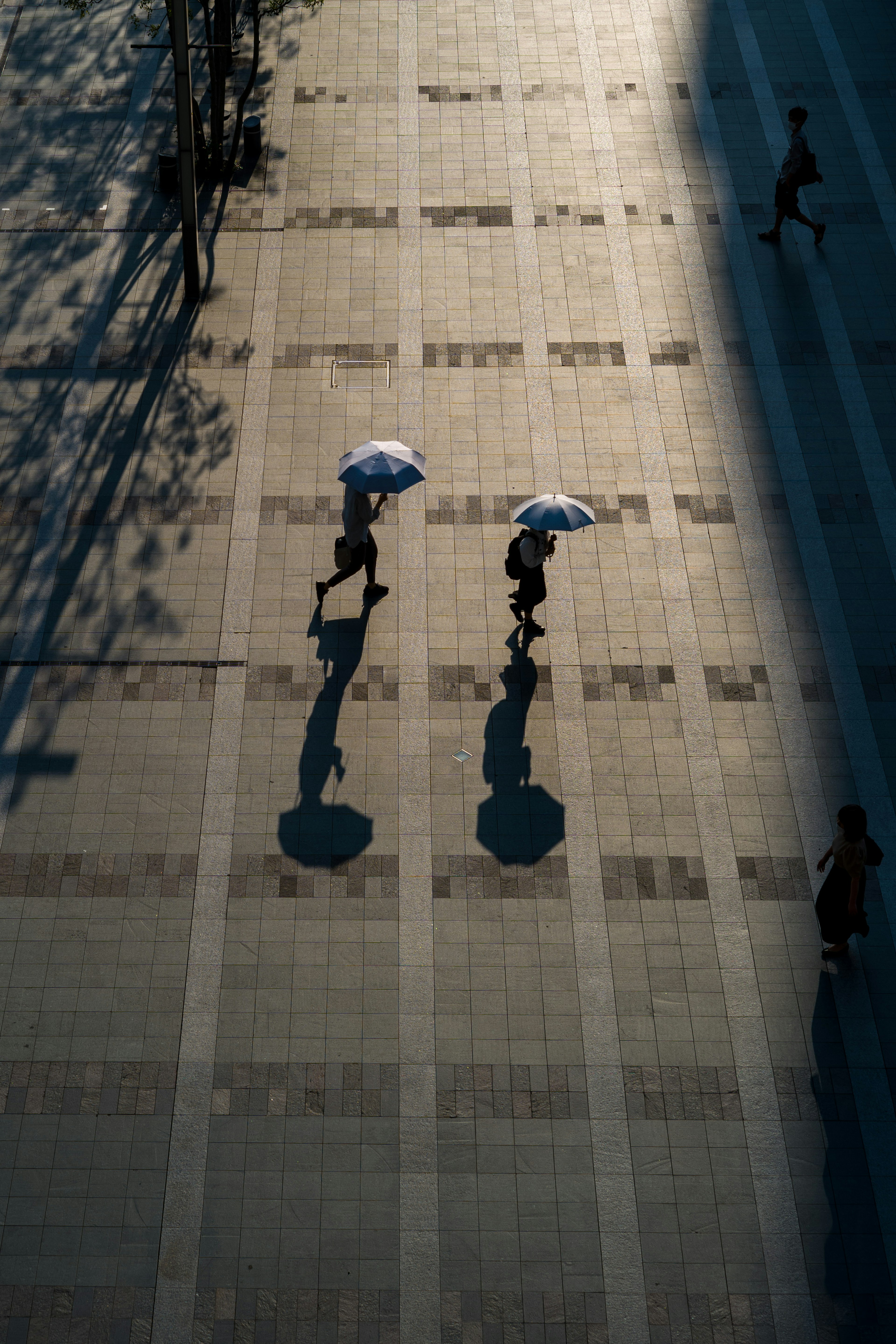 Dos personas caminando con paraguas proyectando sombras en un camino pavimentado