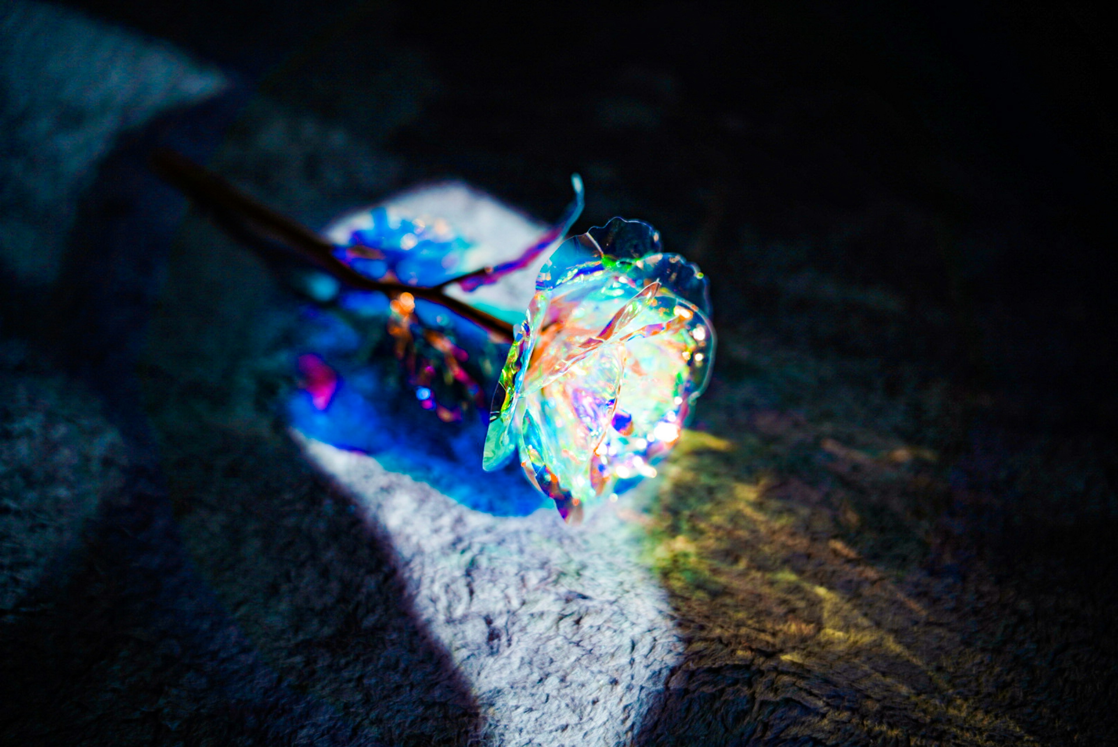 A transparent rose emitting colorful lights