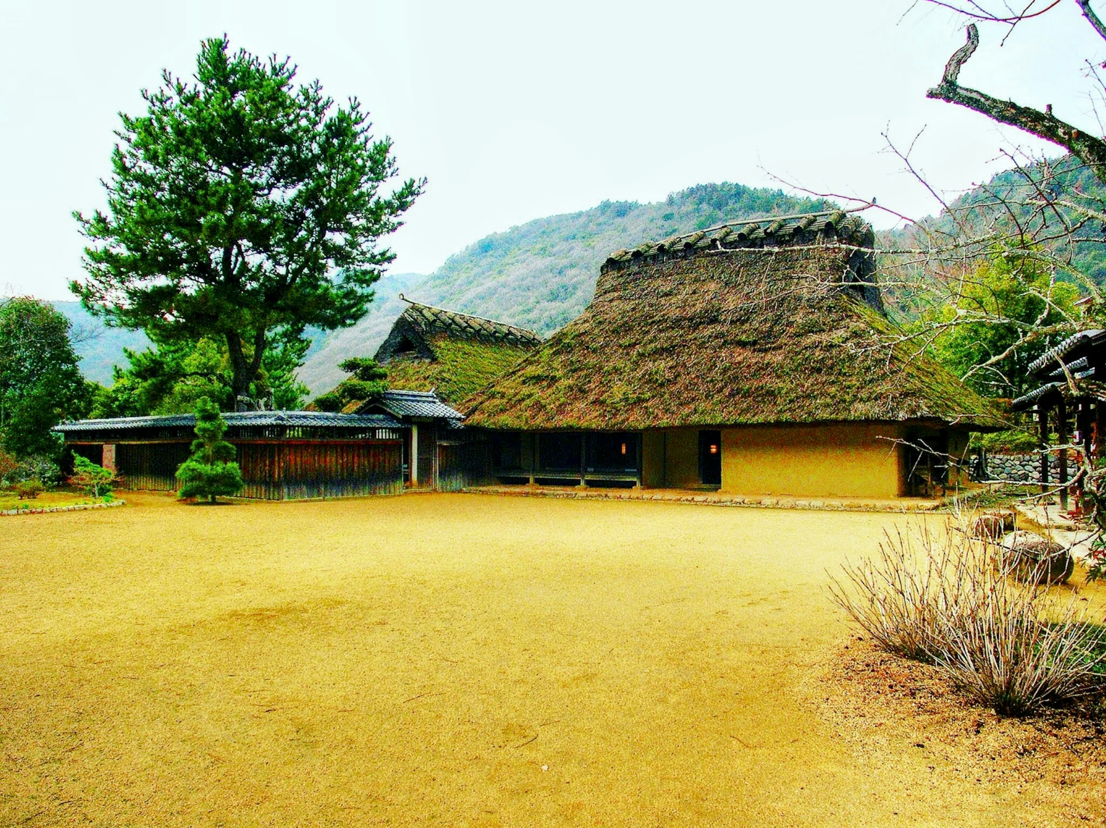 Traditionelles Haus mit Strohdach umgeben von Natur