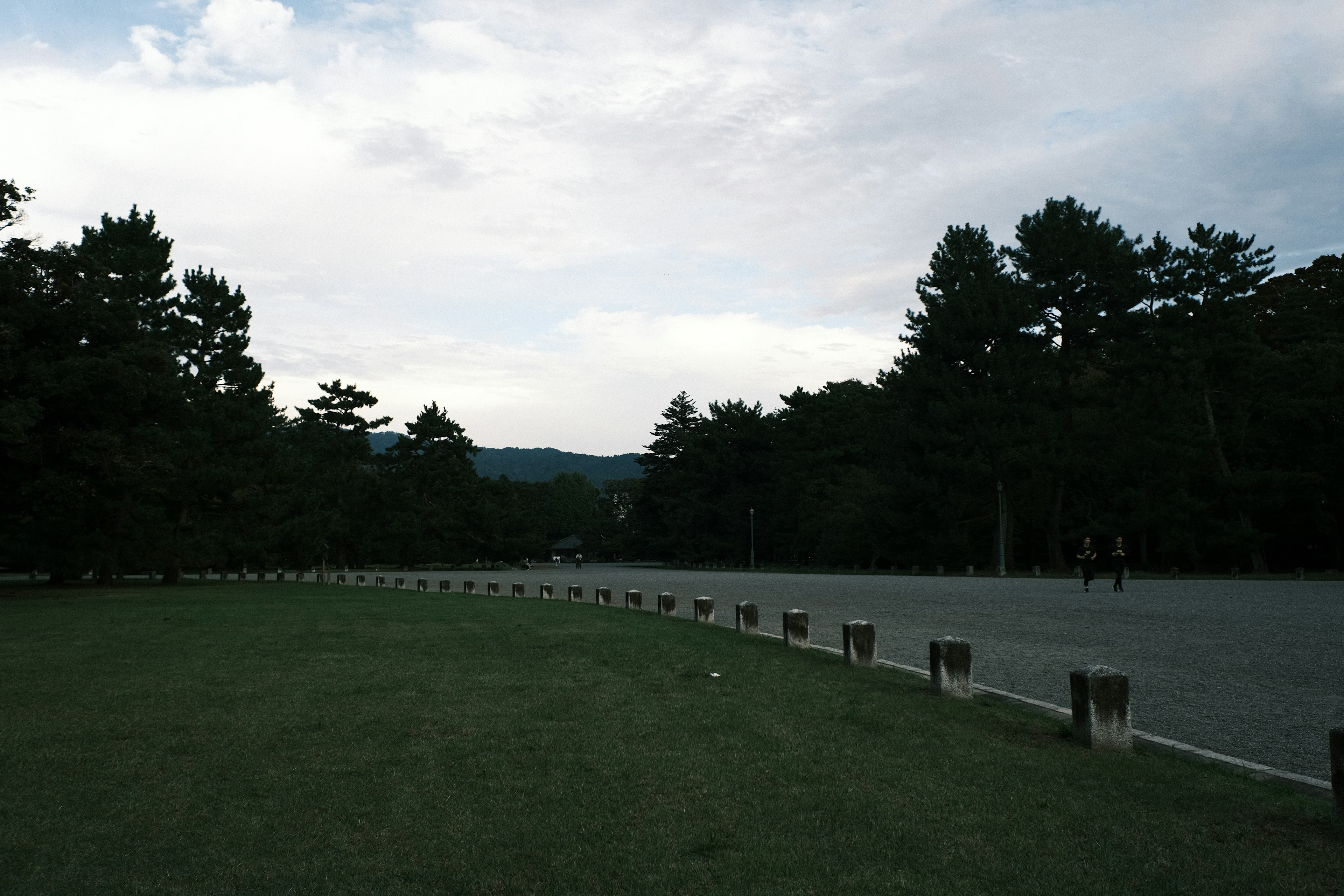 Una vista panoramica di un'ampia area erbosa con alberi e una montagna in lontananza