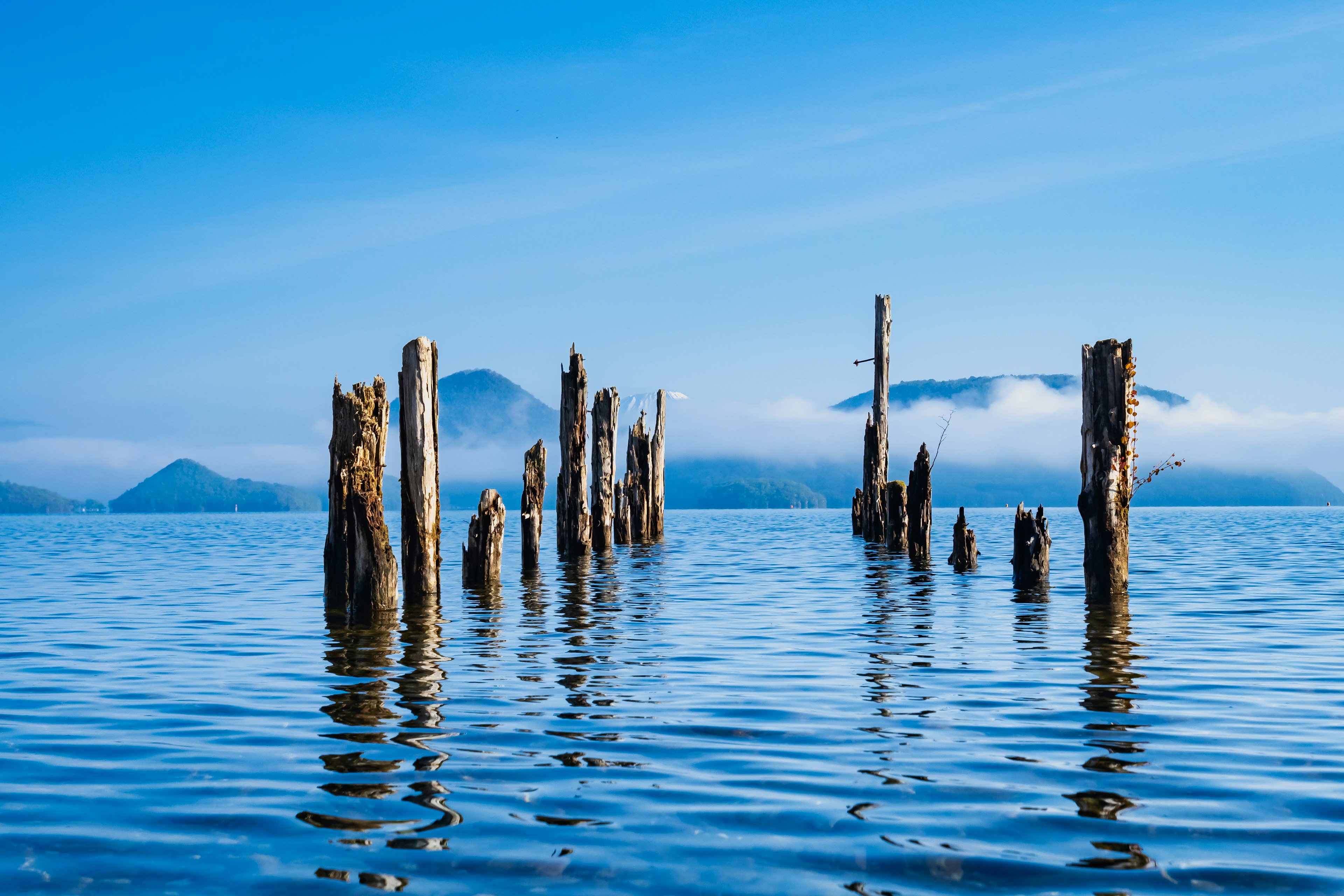 Old wooden posts standing in calm water with mountains in the background