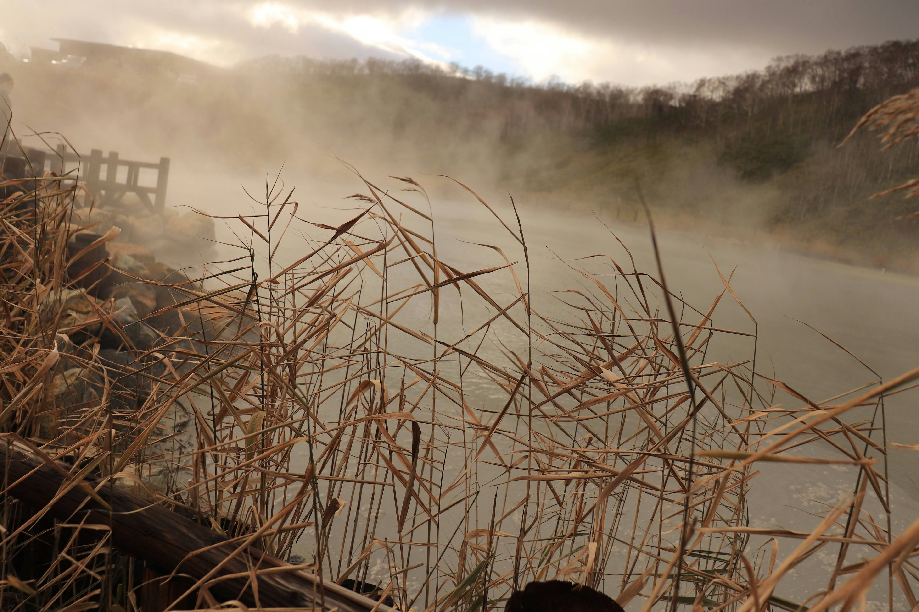 Lago brumoso con plantas similares a hierba seca en primer plano